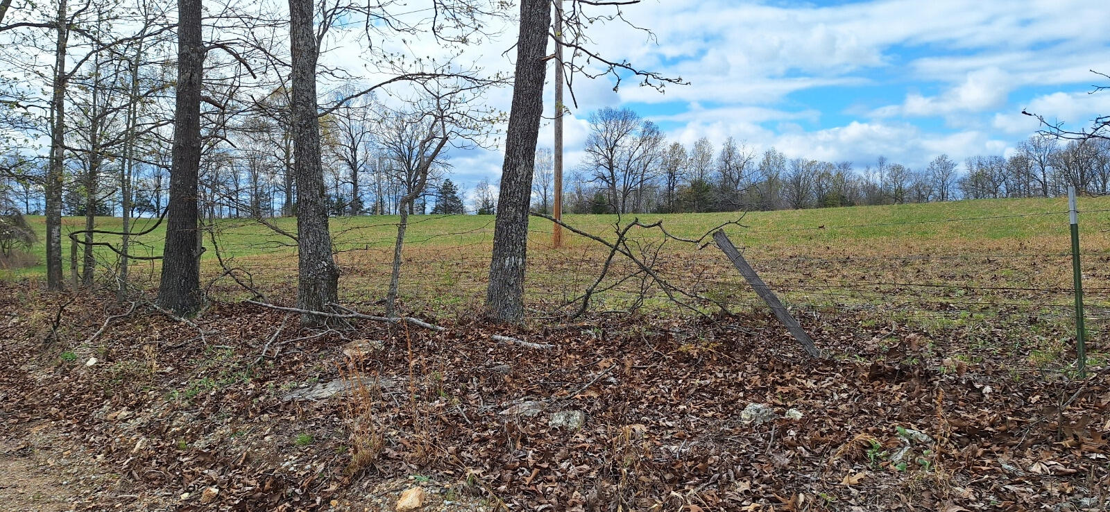 000 Cr 543 Property Photo 42
