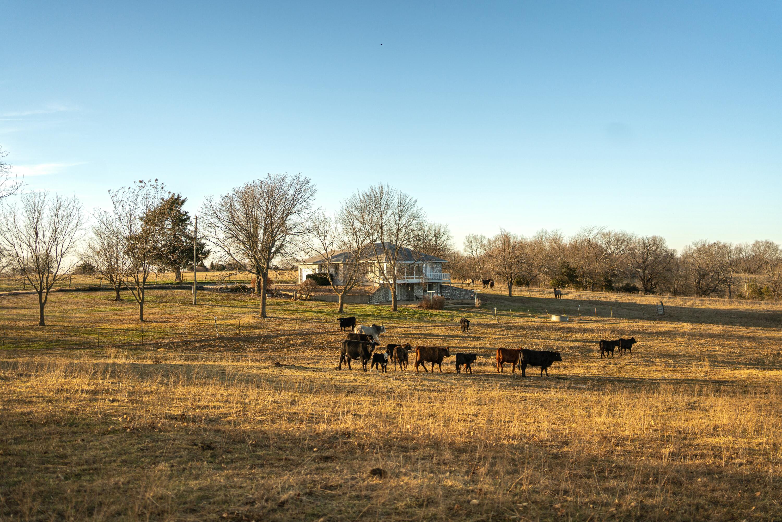 13865 East Highway 39 Property Photo 49