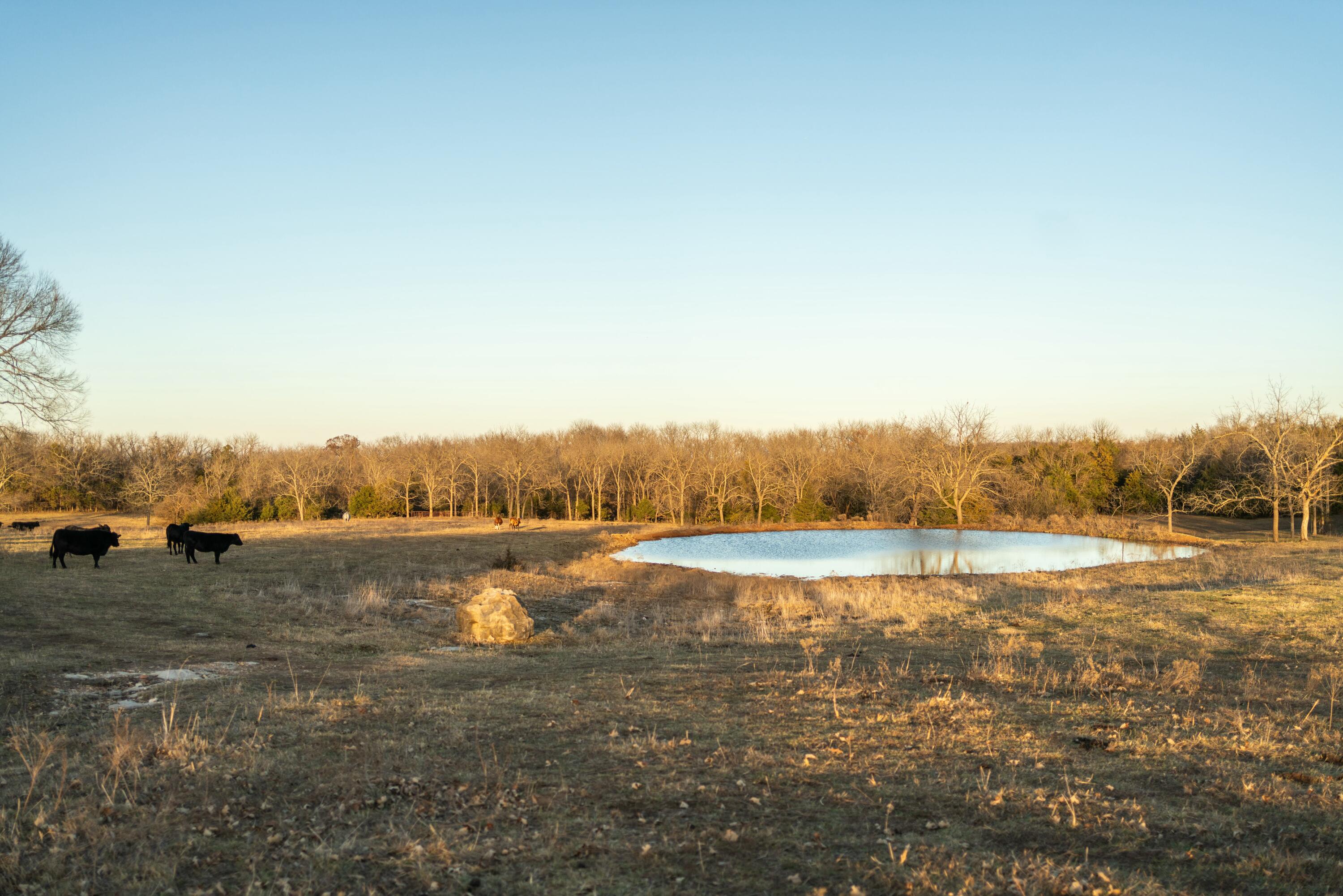 13865 East Highway 39 Property Photo 50