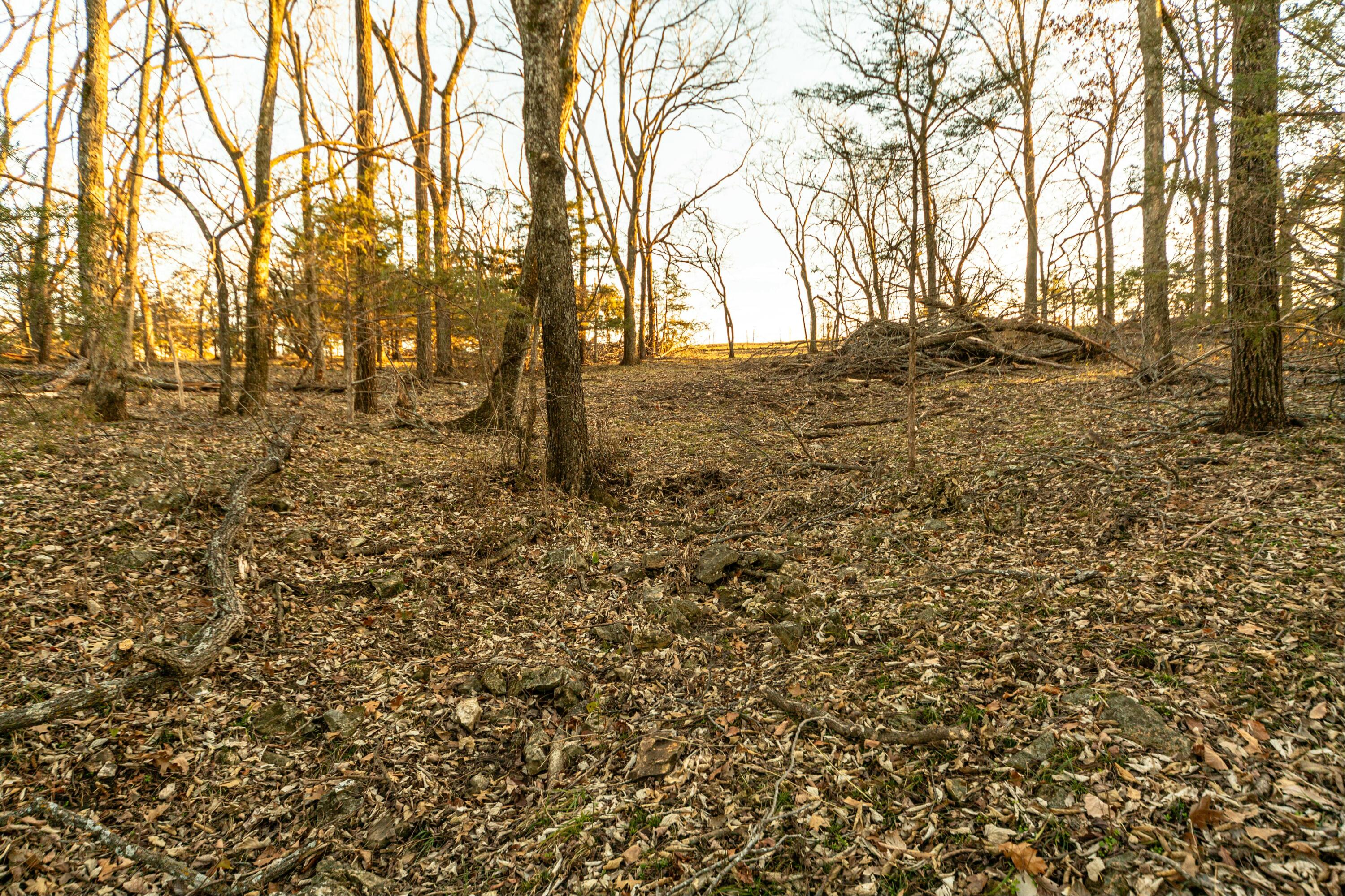 13865 East Highway 39 Property Photo 53