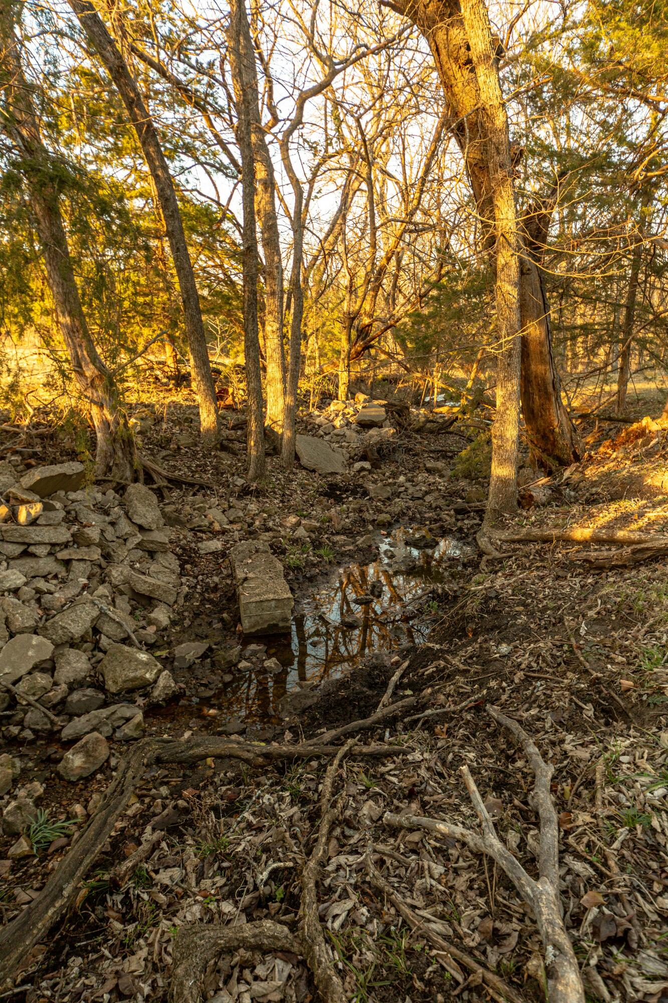 13865 East Highway 39 Property Photo 54