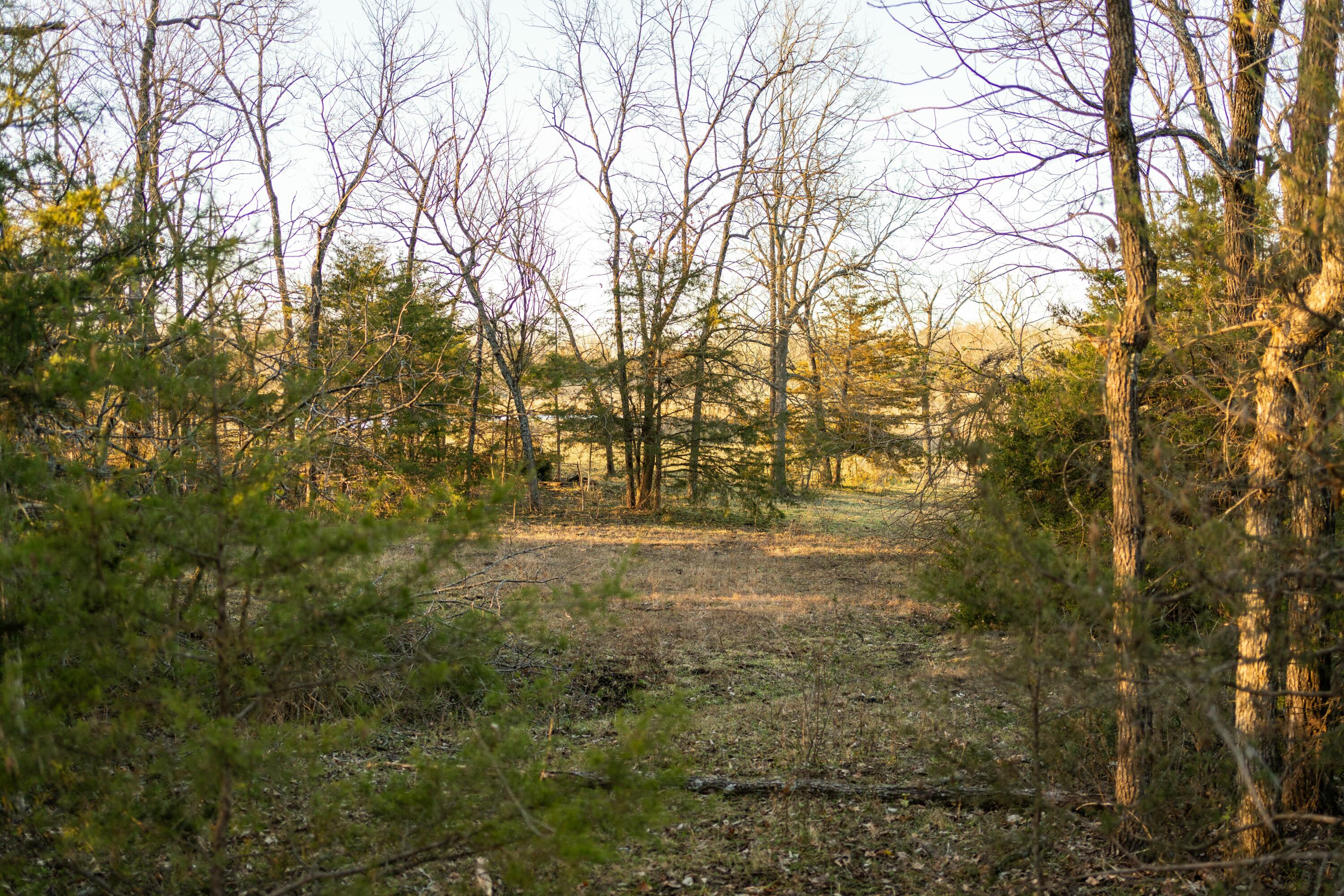 13865 East Highway 39 Property Photo 57
