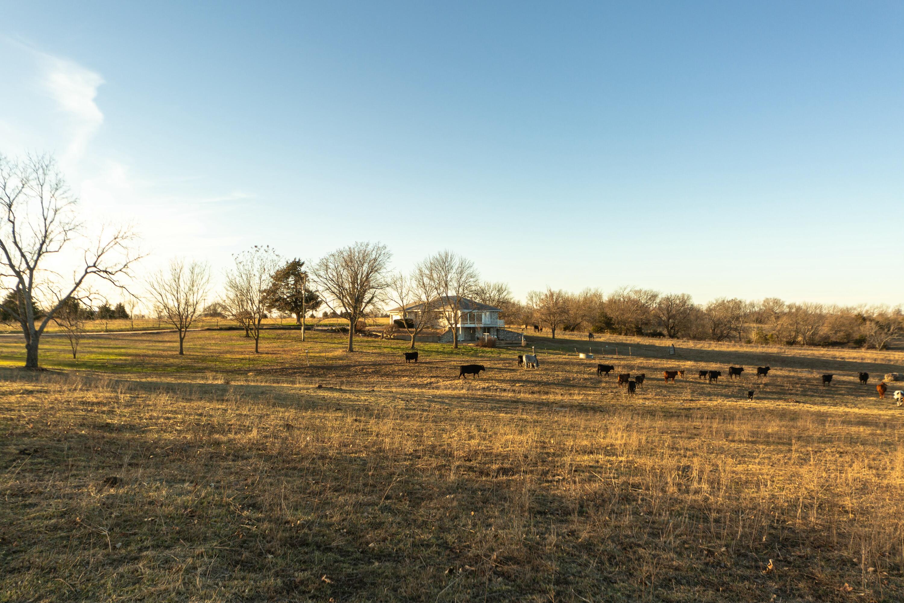 13865 East Highway 39 Property Photo 58