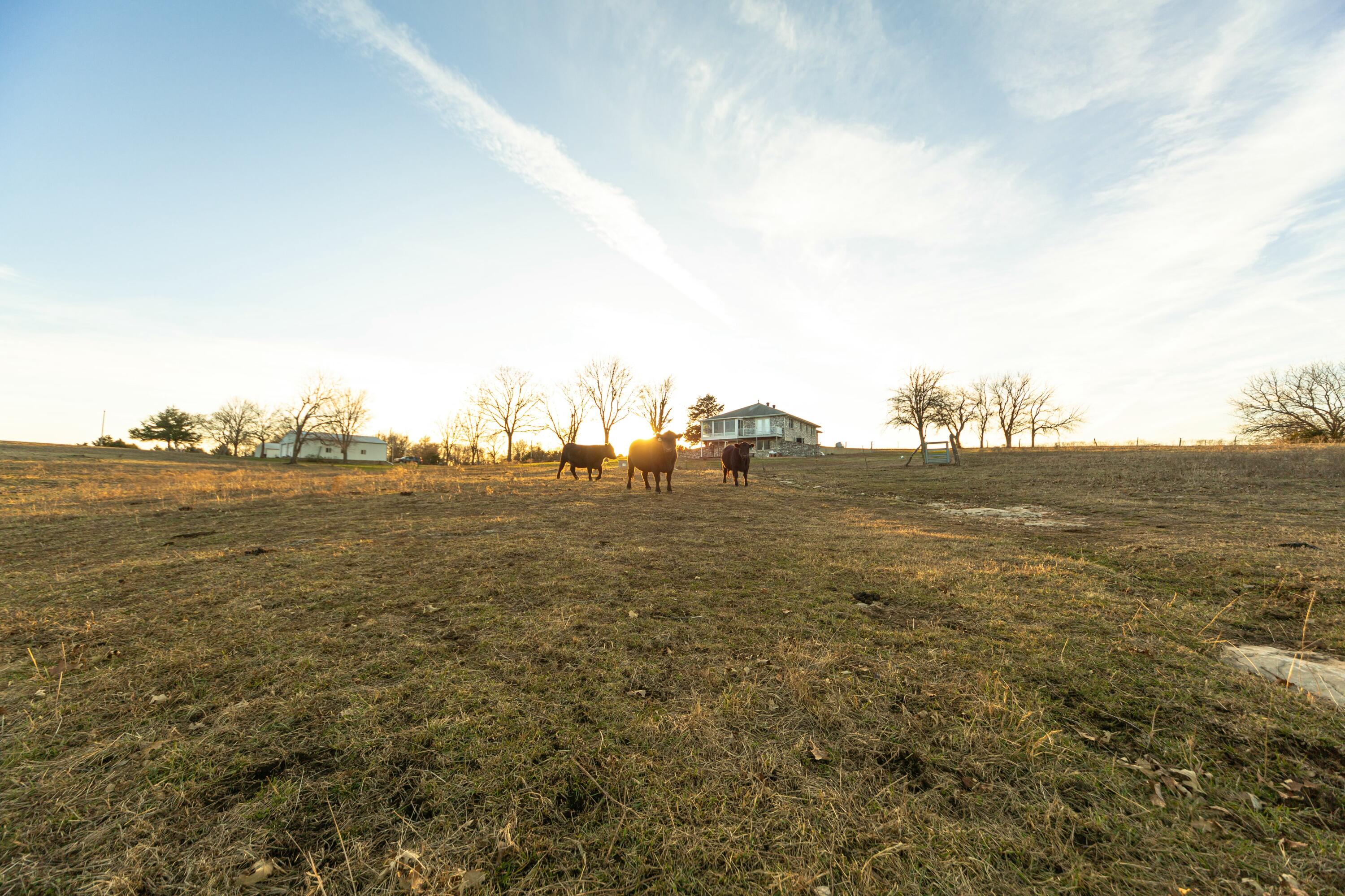 13865 East Highway 39 Property Photo 72