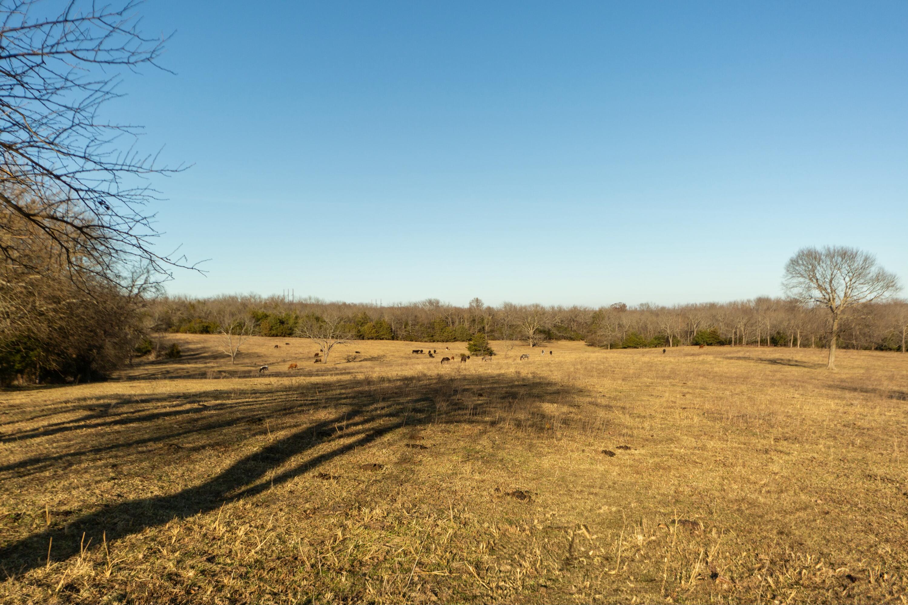 13865 East Highway 39 Property Photo 73