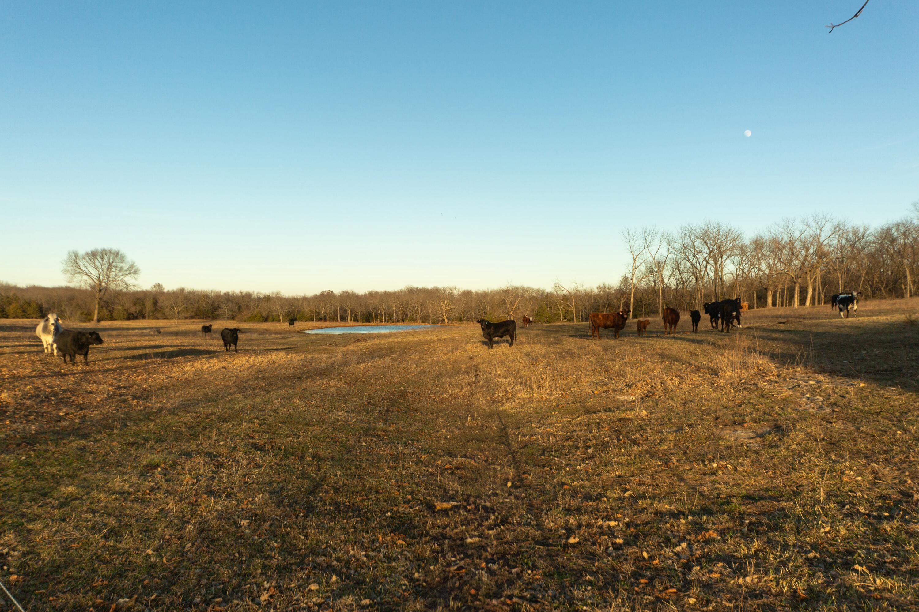 13865 East Highway 39 Property Photo 74
