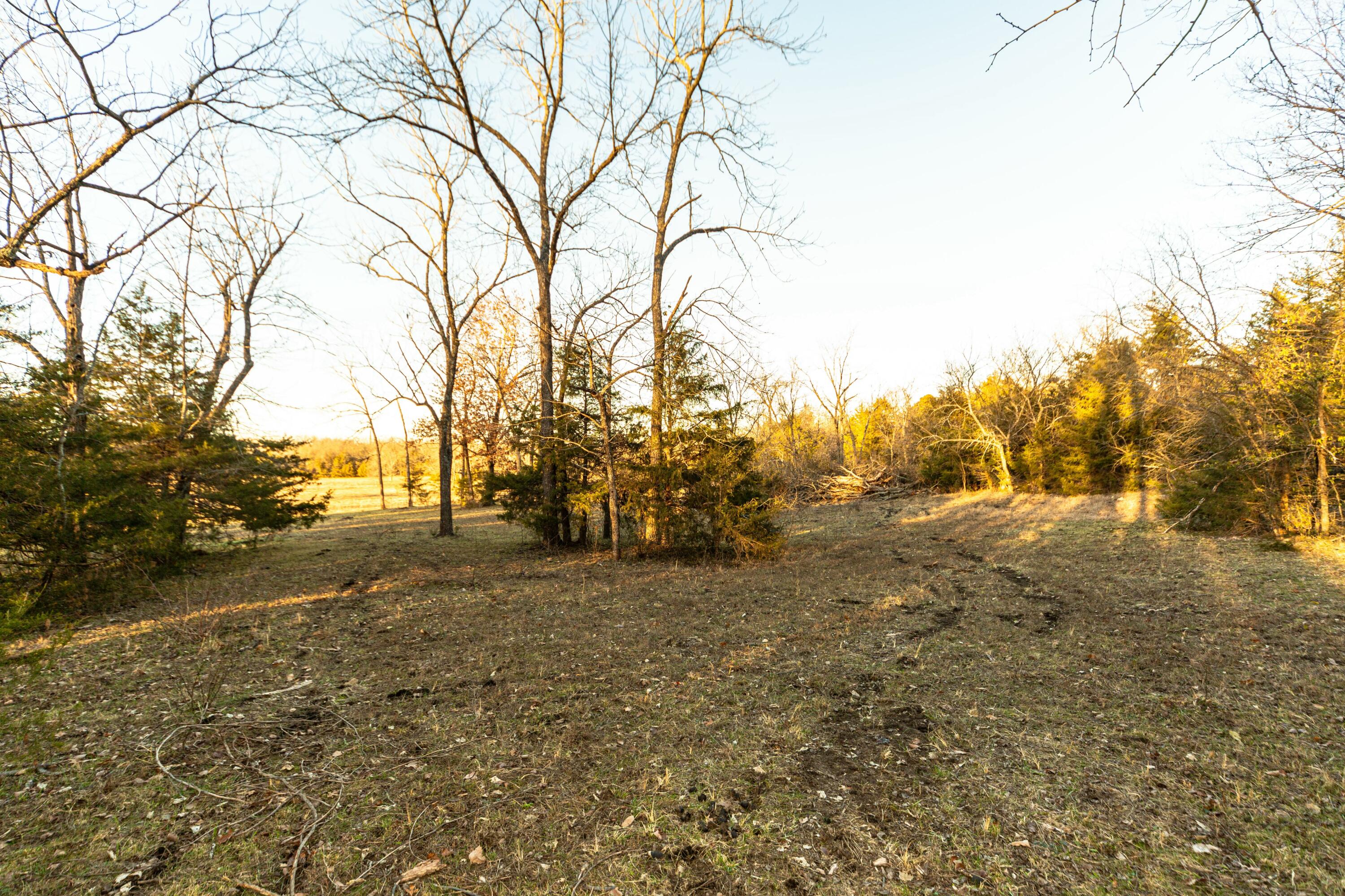 13865 East Highway 39 Property Photo 75