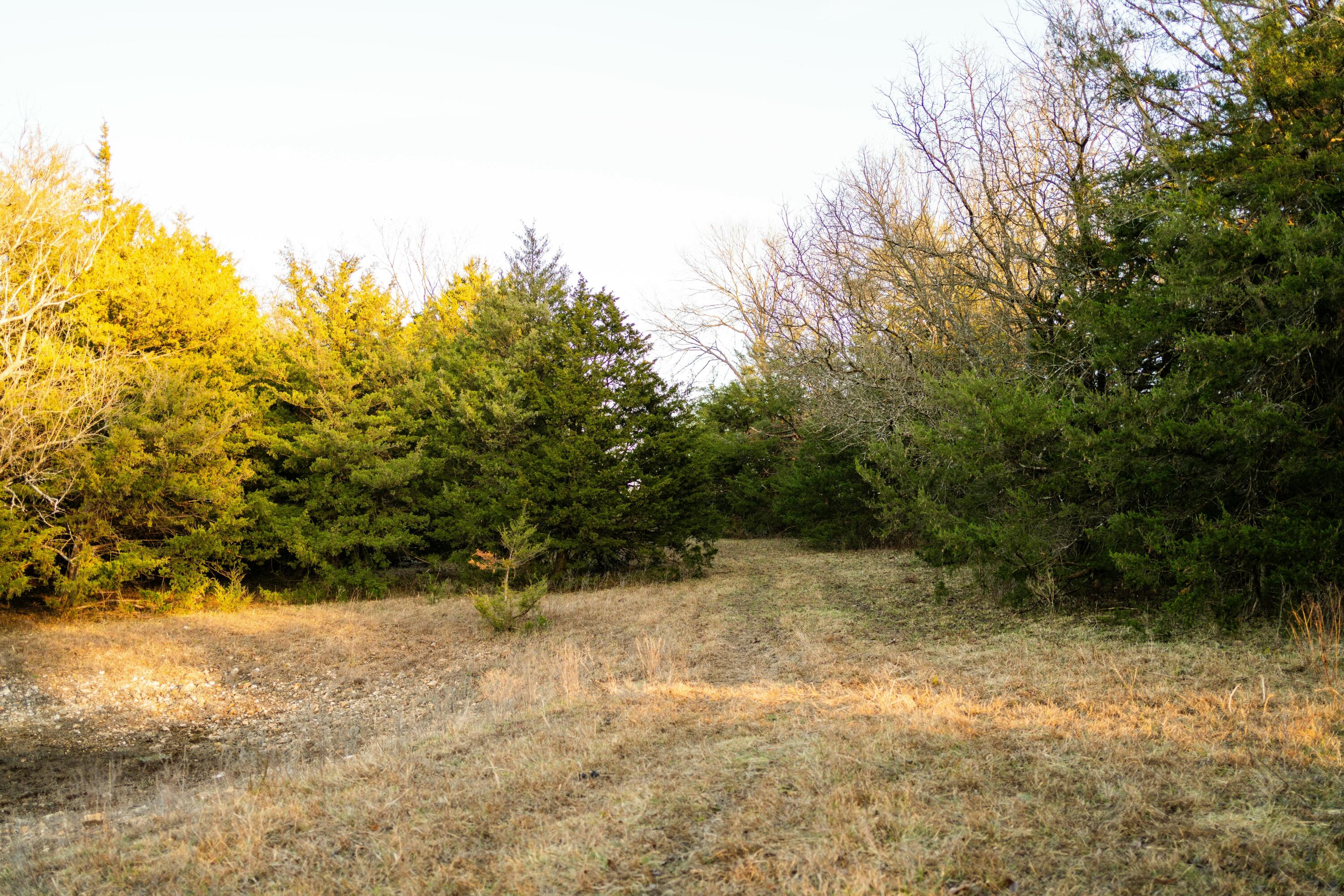 13865 East Highway 39 Property Photo 77