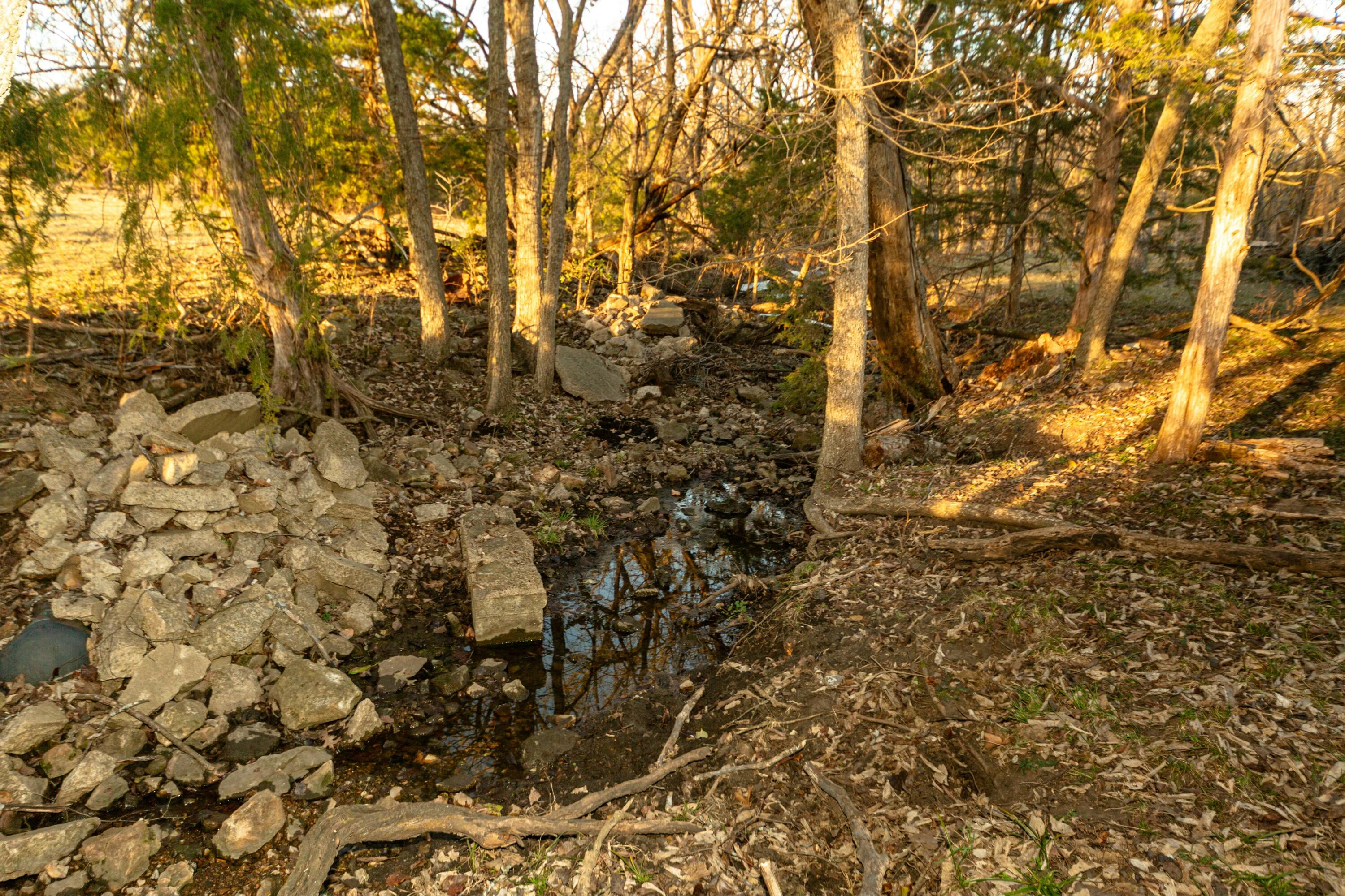 13865 East Highway 39 Property Photo 79