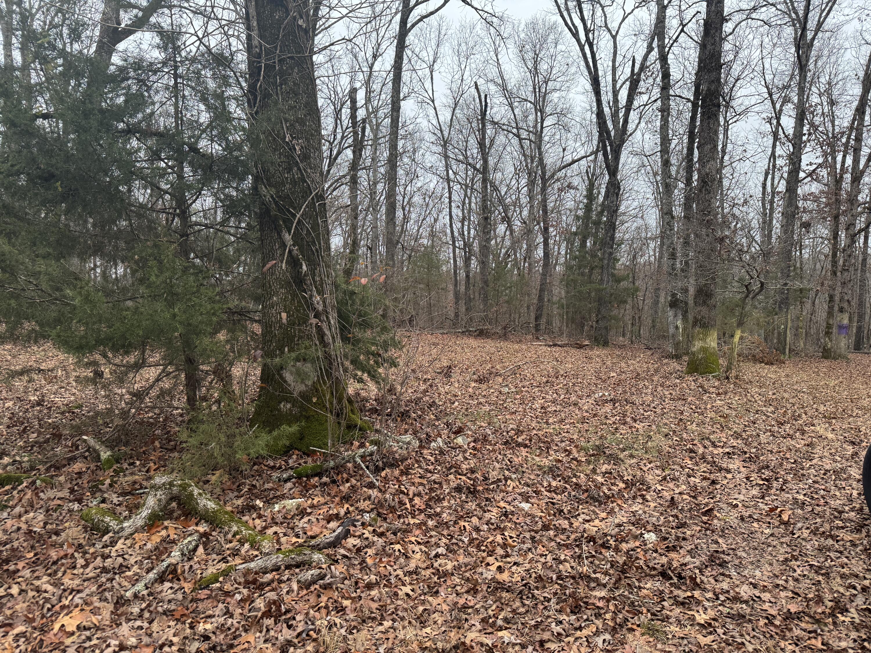 Lot 1 Waterfront 1 Property Photo 2
