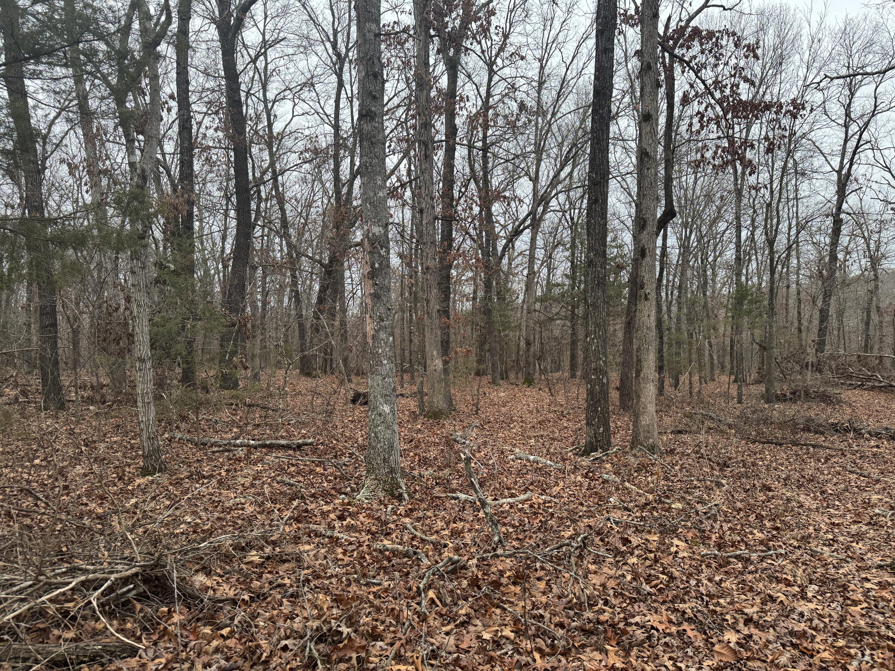 Lot 1 Waterfront 1 Property Photo 6