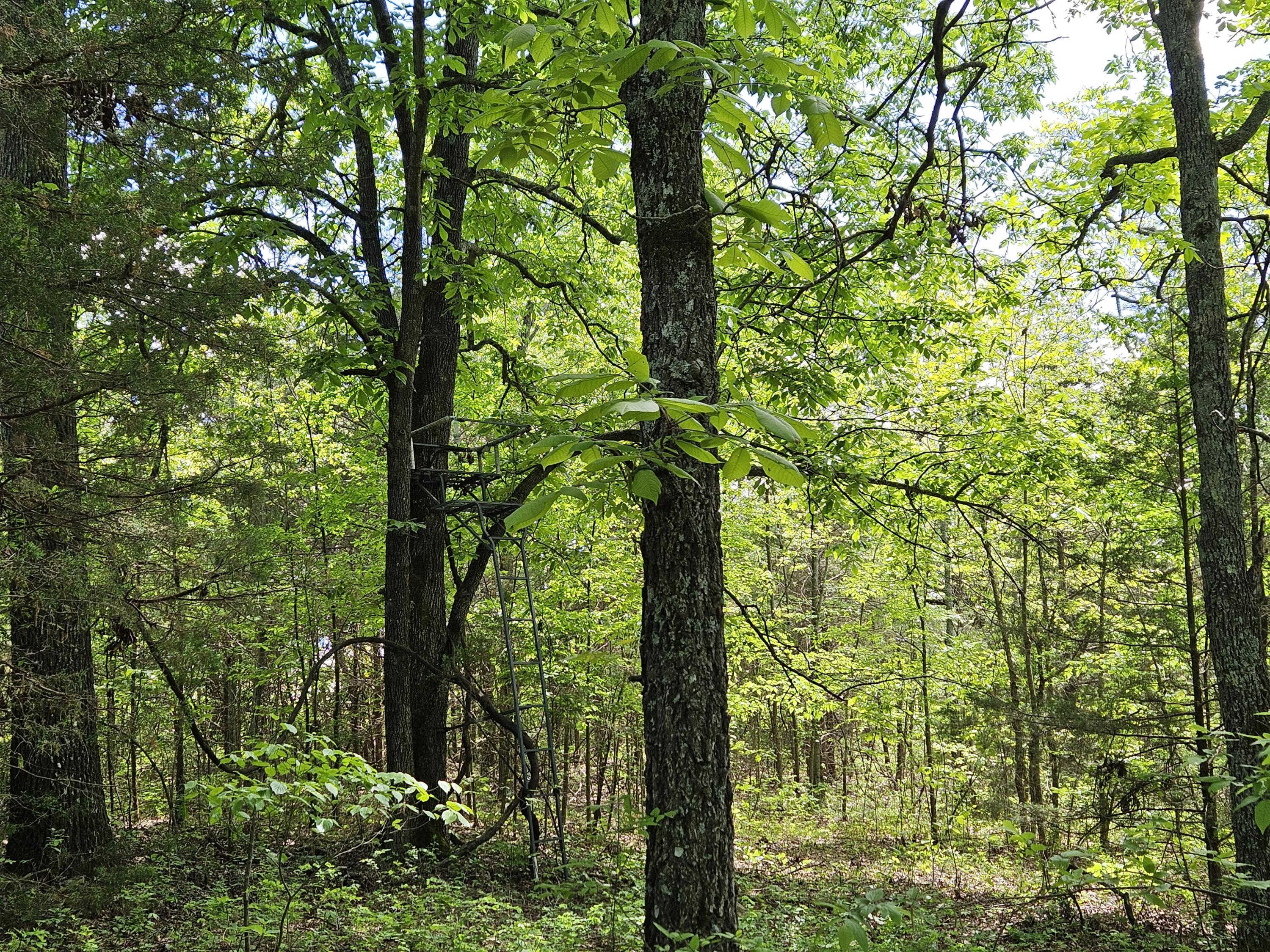 12487 Co Rd S 5-411-pvt Dr-a Property Photo 13