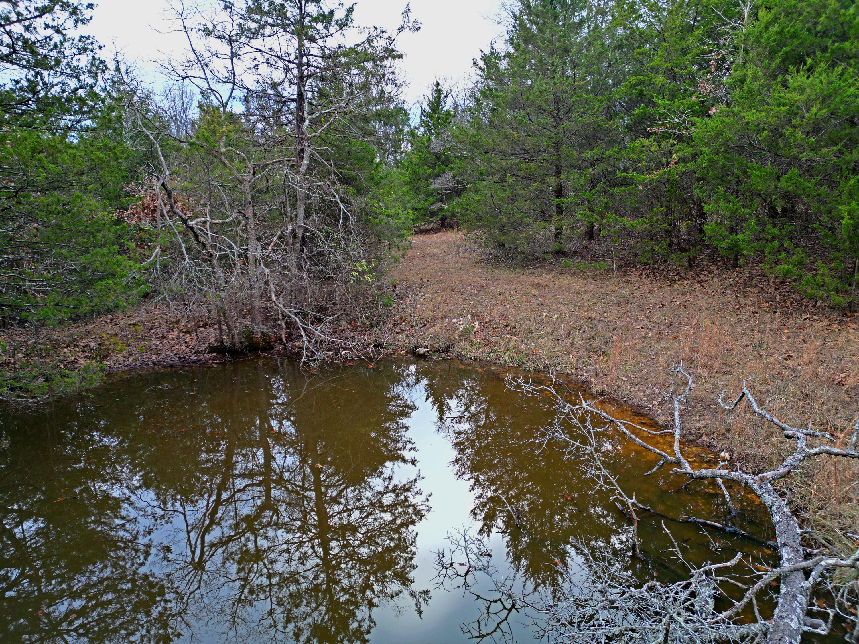 12487 Co Rd S 5-411-pvt Dr-a Property Photo 46