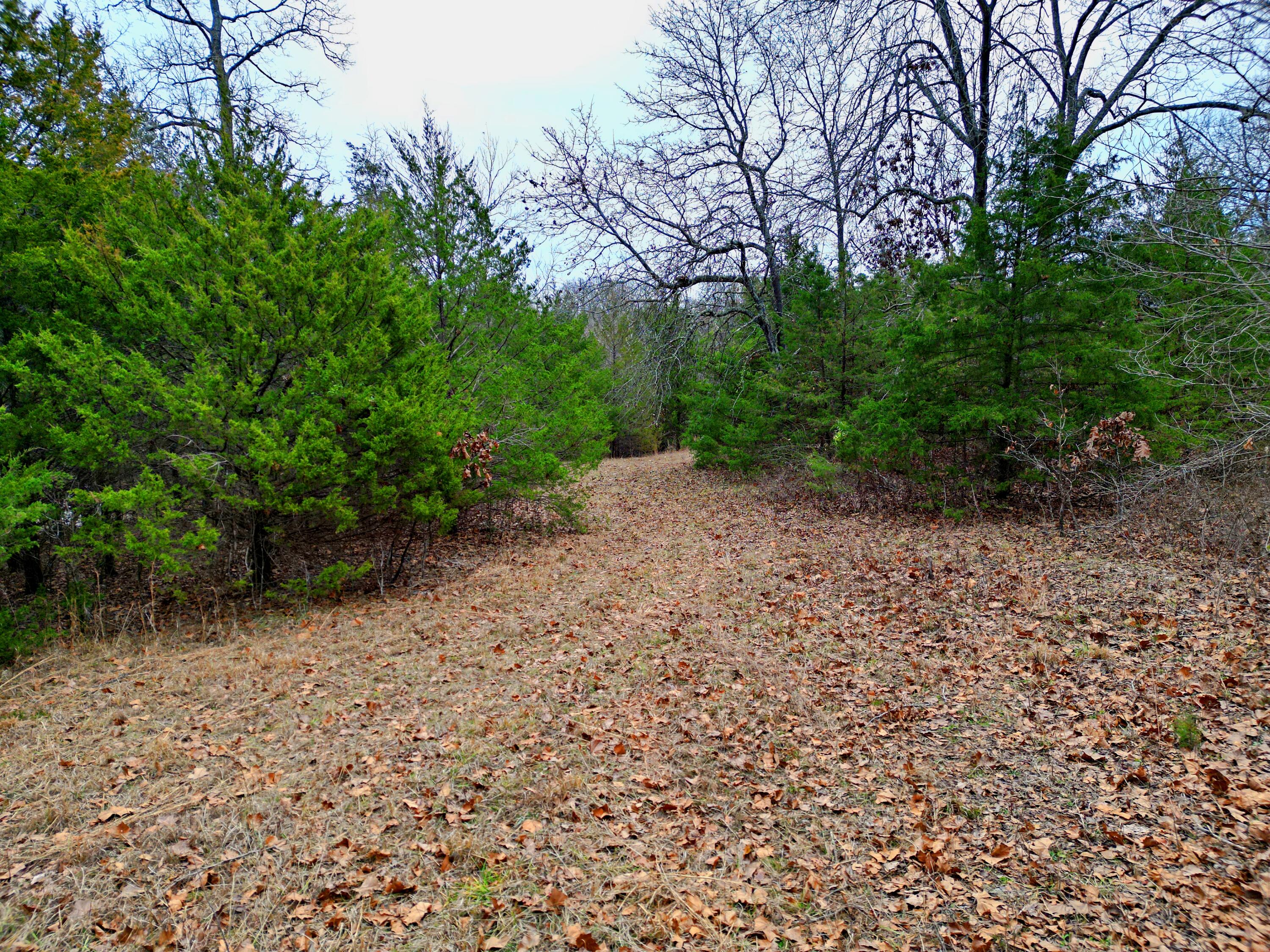 12487 Co Rd S 5-411-pvt Dr-a Property Photo 47