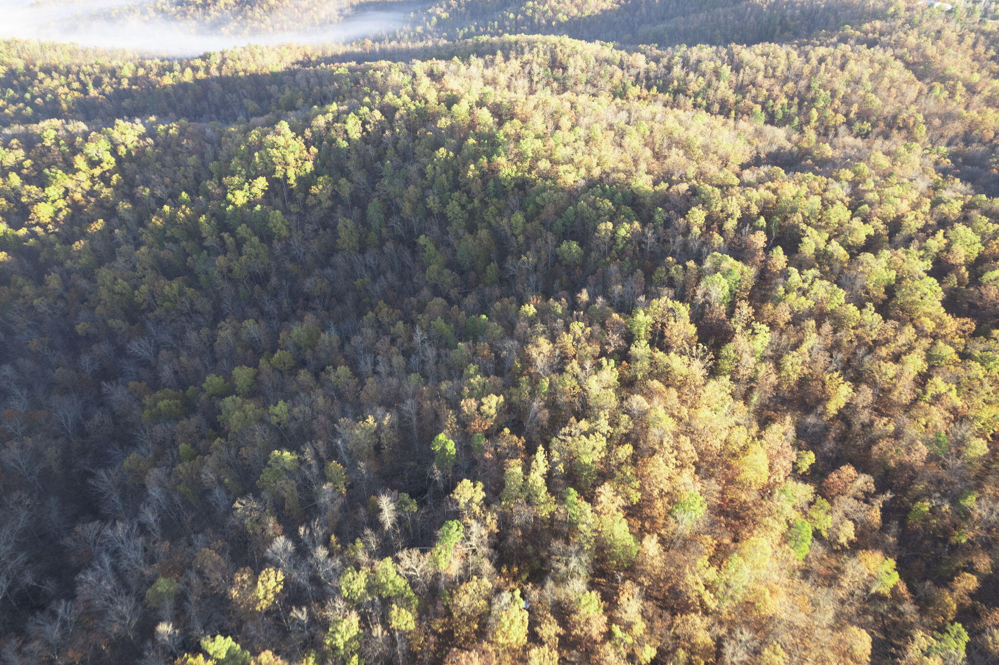 0000 County Road 336 Property Photo 6