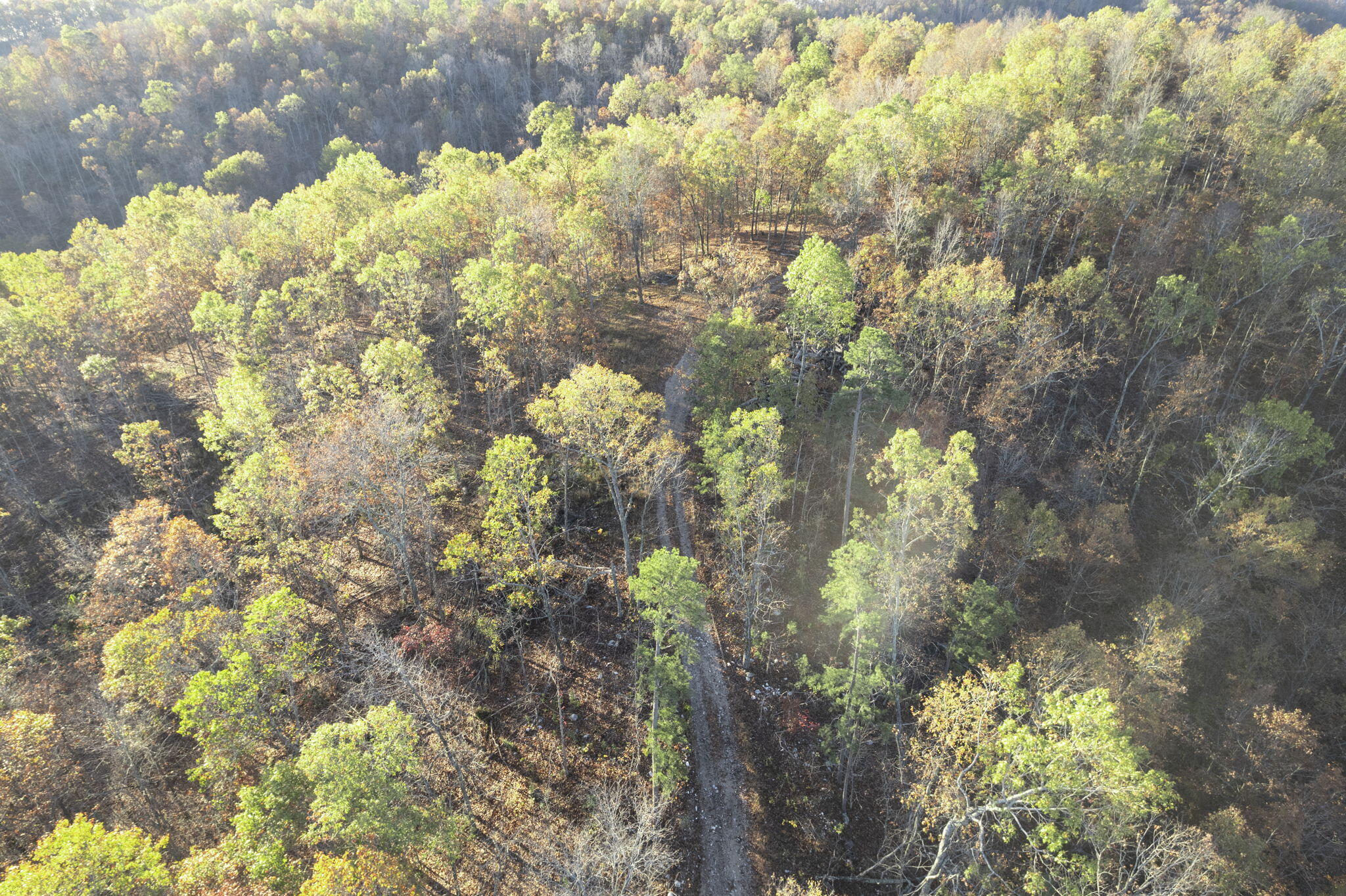 0000 County Road 336 Property Photo 9