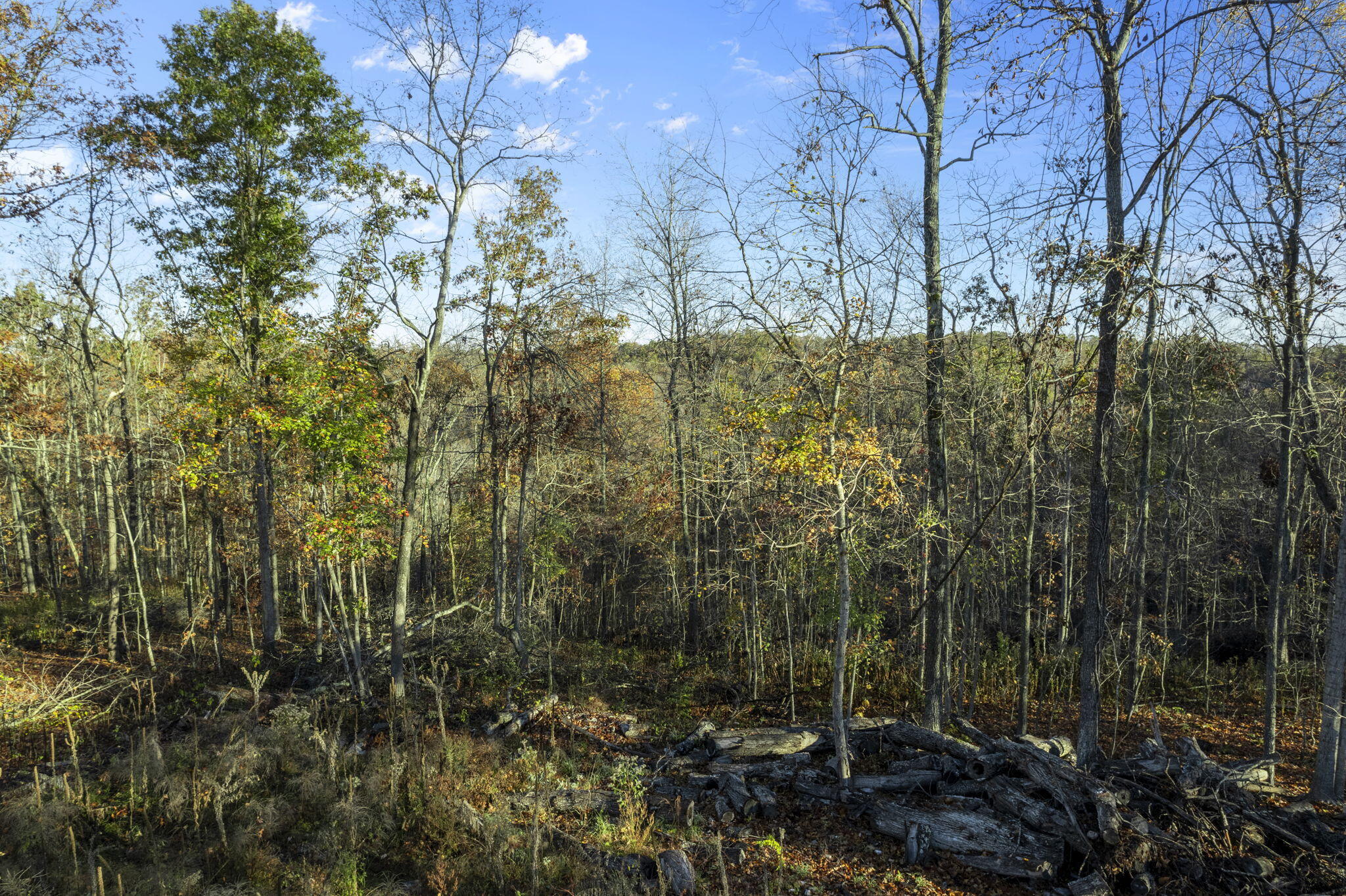 0000 County Road 336 Property Photo 21