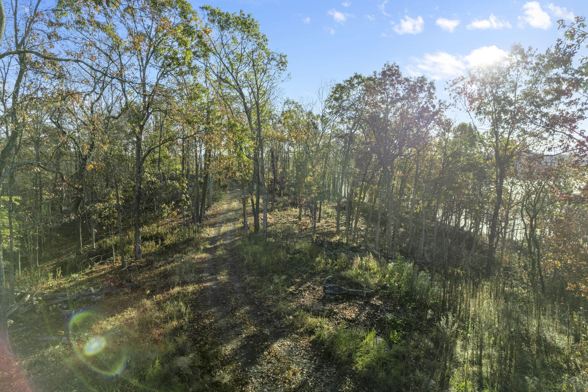 0000 County Road 336 Property Photo 22