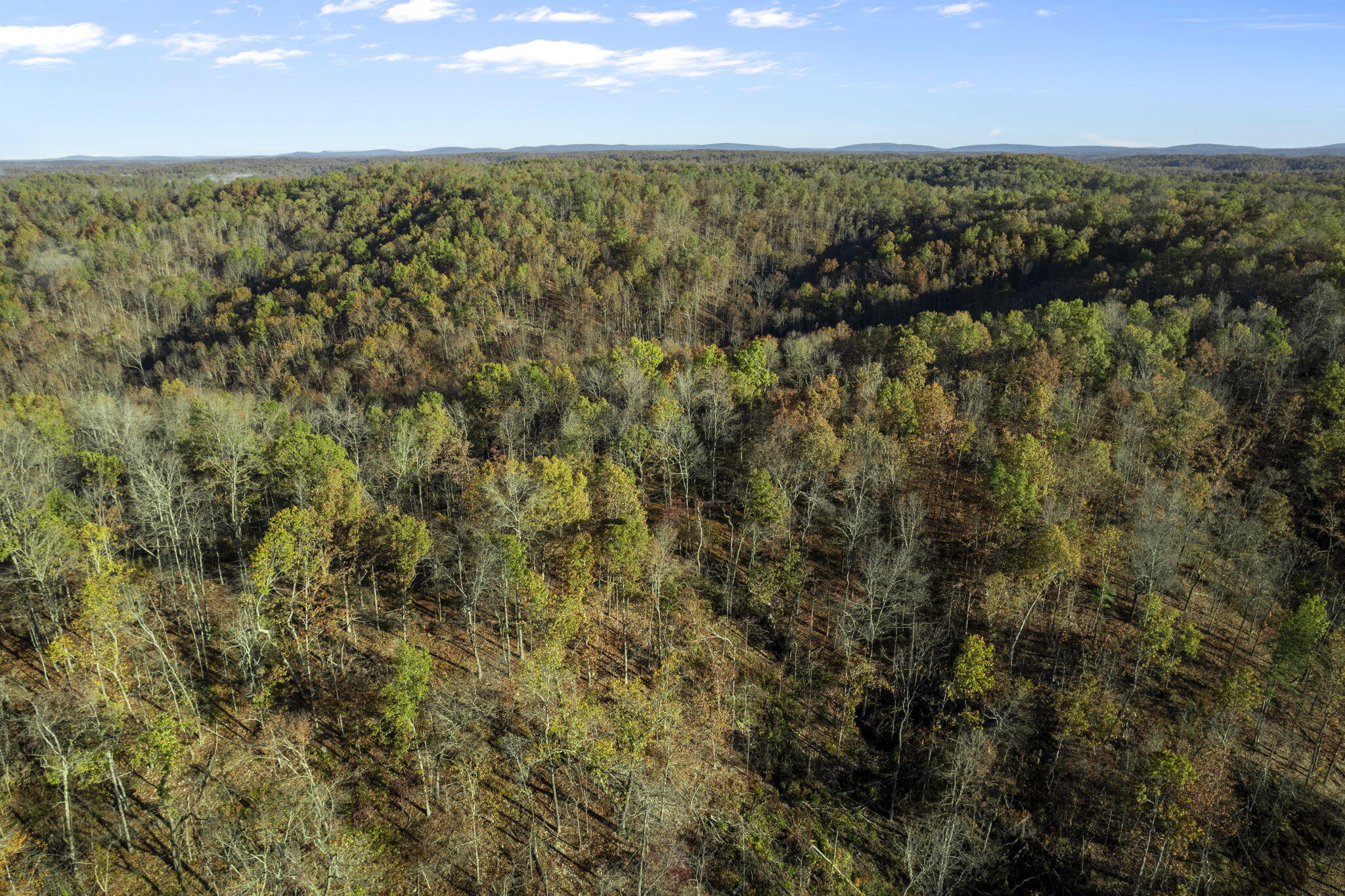 0000 County Road 336 Property Photo 23