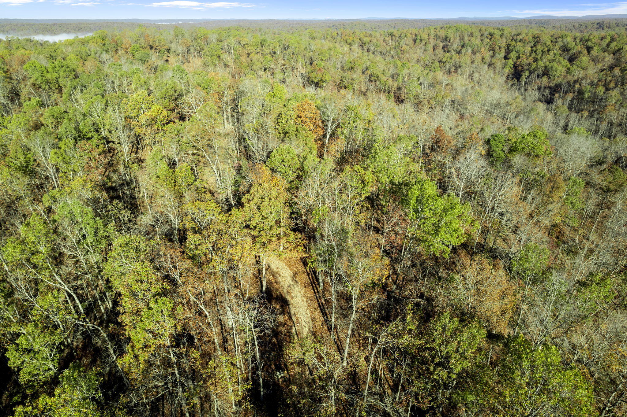 0000 County Road 336 Property Photo 25