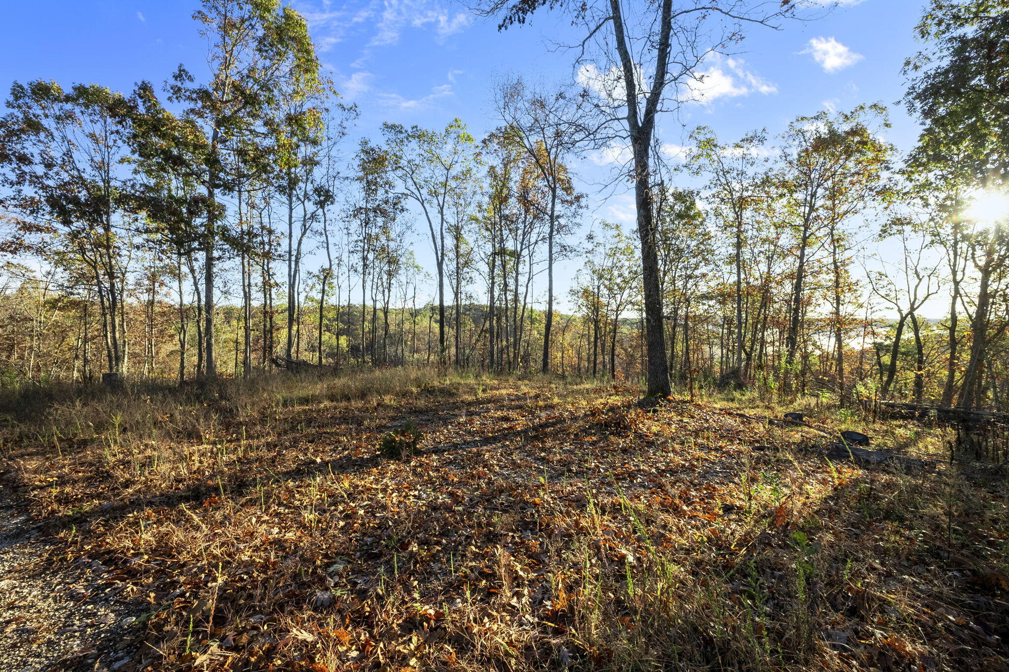0000 County Road 336 Property Photo 29