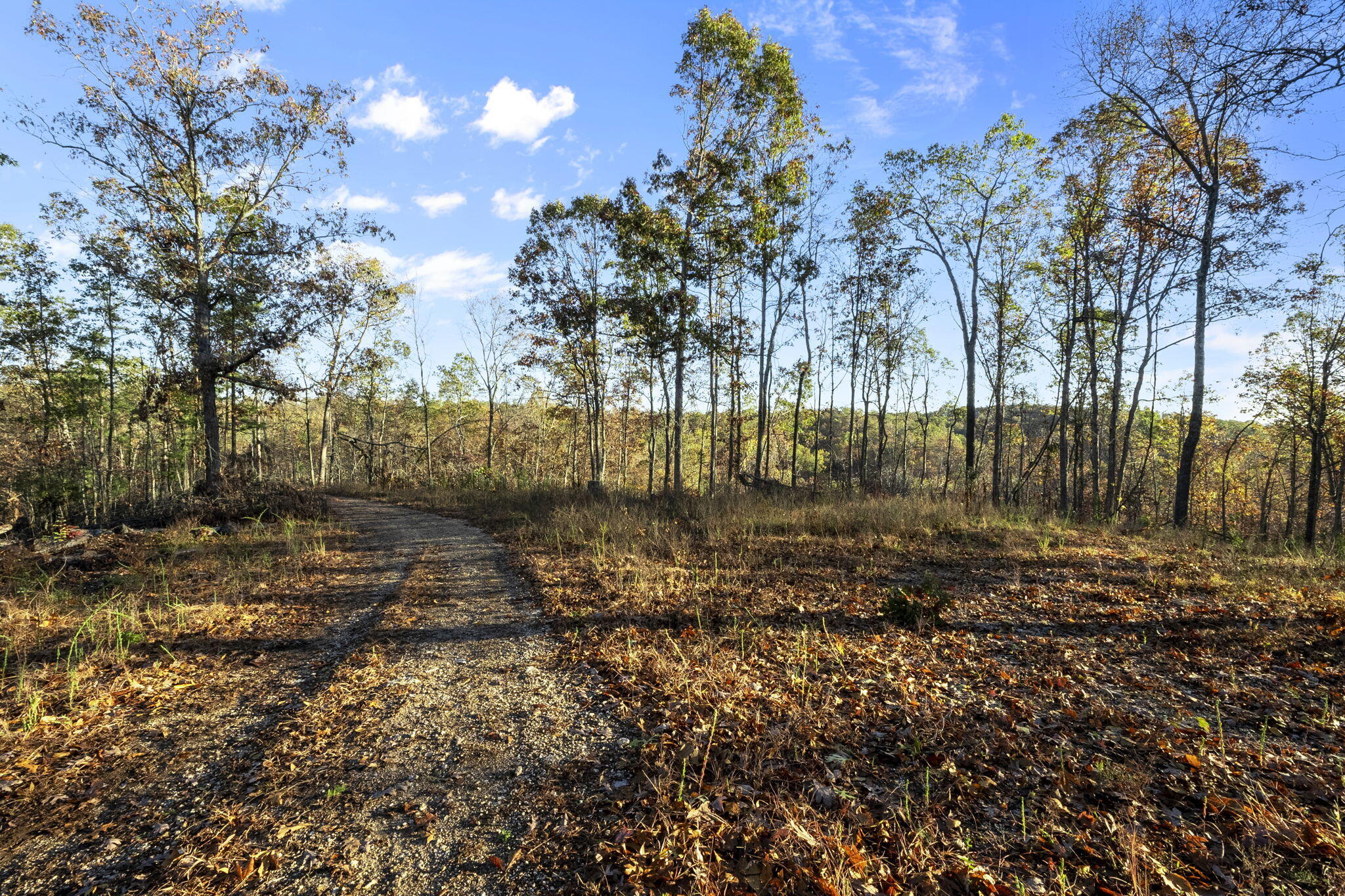 0000 County Road 336 Property Photo 30
