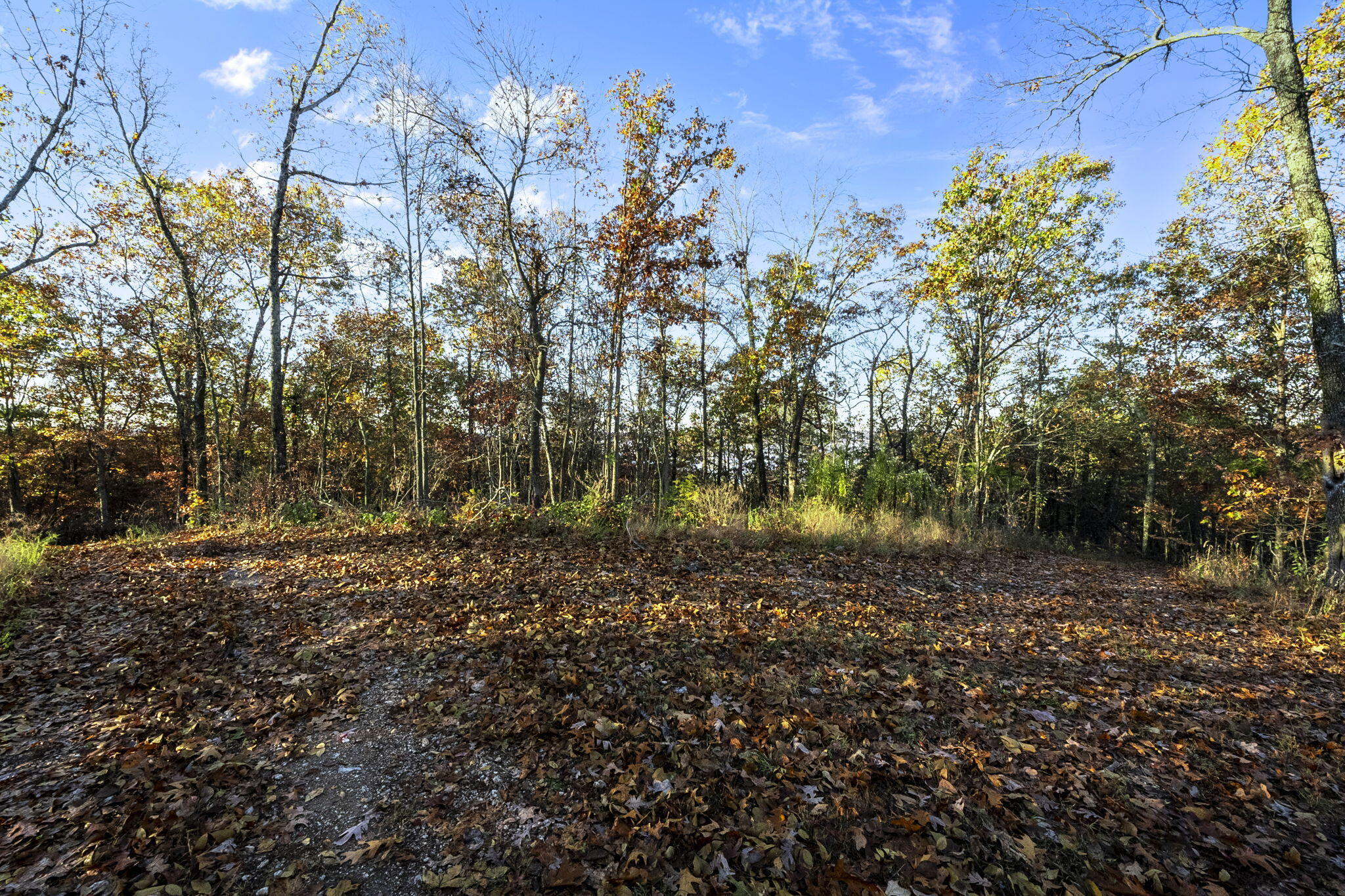 0000 County Road 336 Property Photo 31