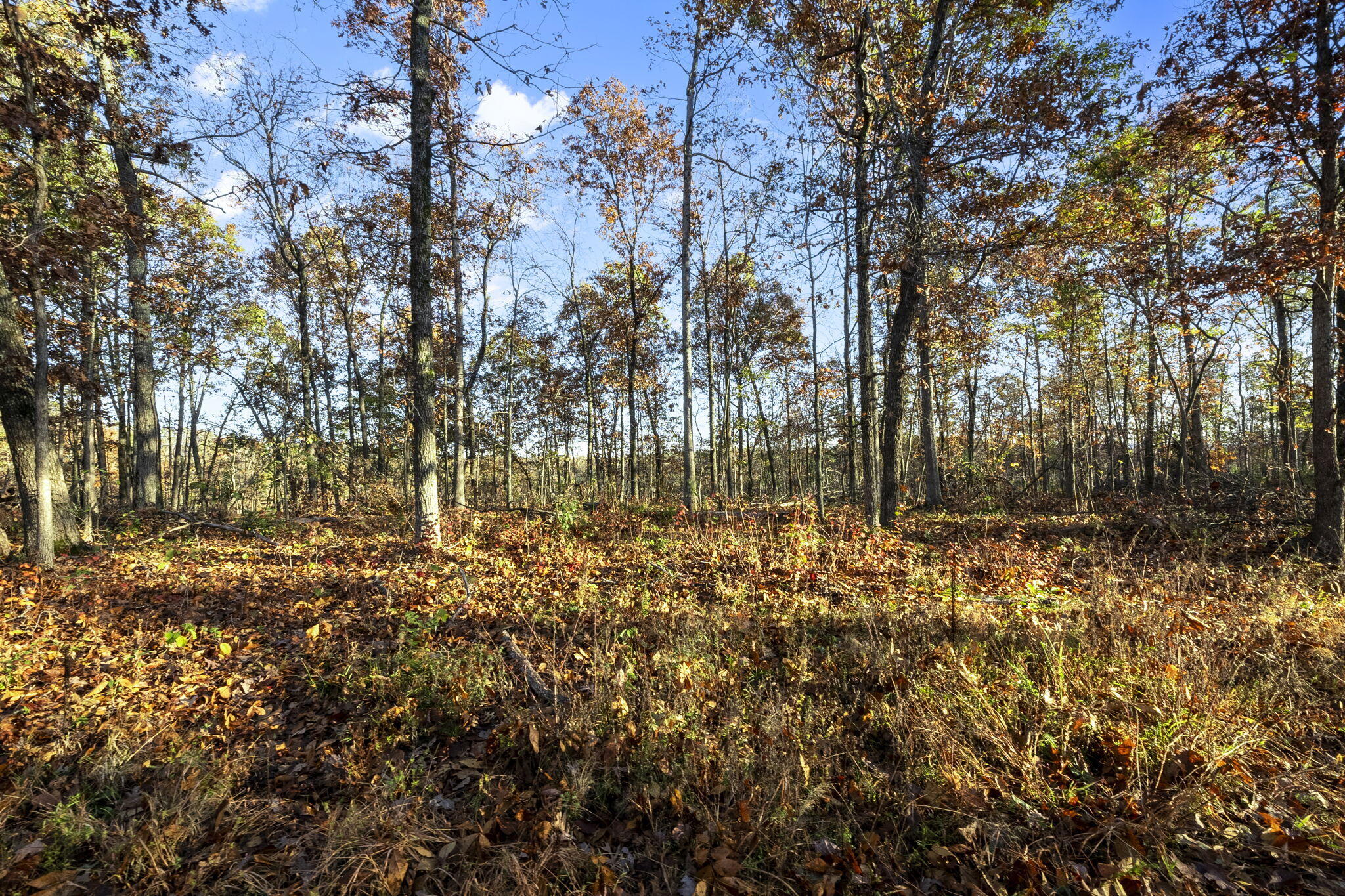 0000 County Road 336 Property Photo 34