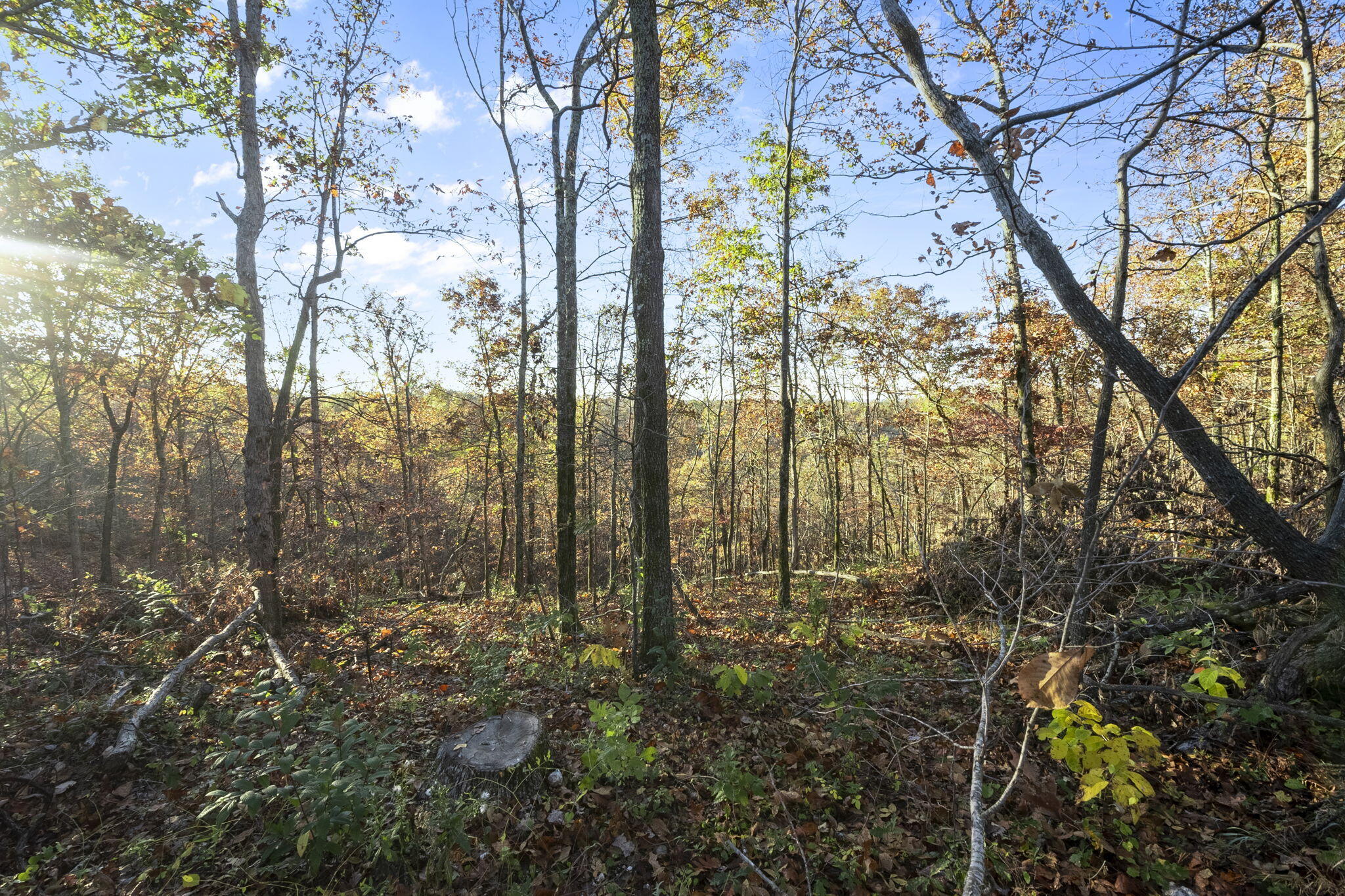 0000 County Road 336 Property Photo 35