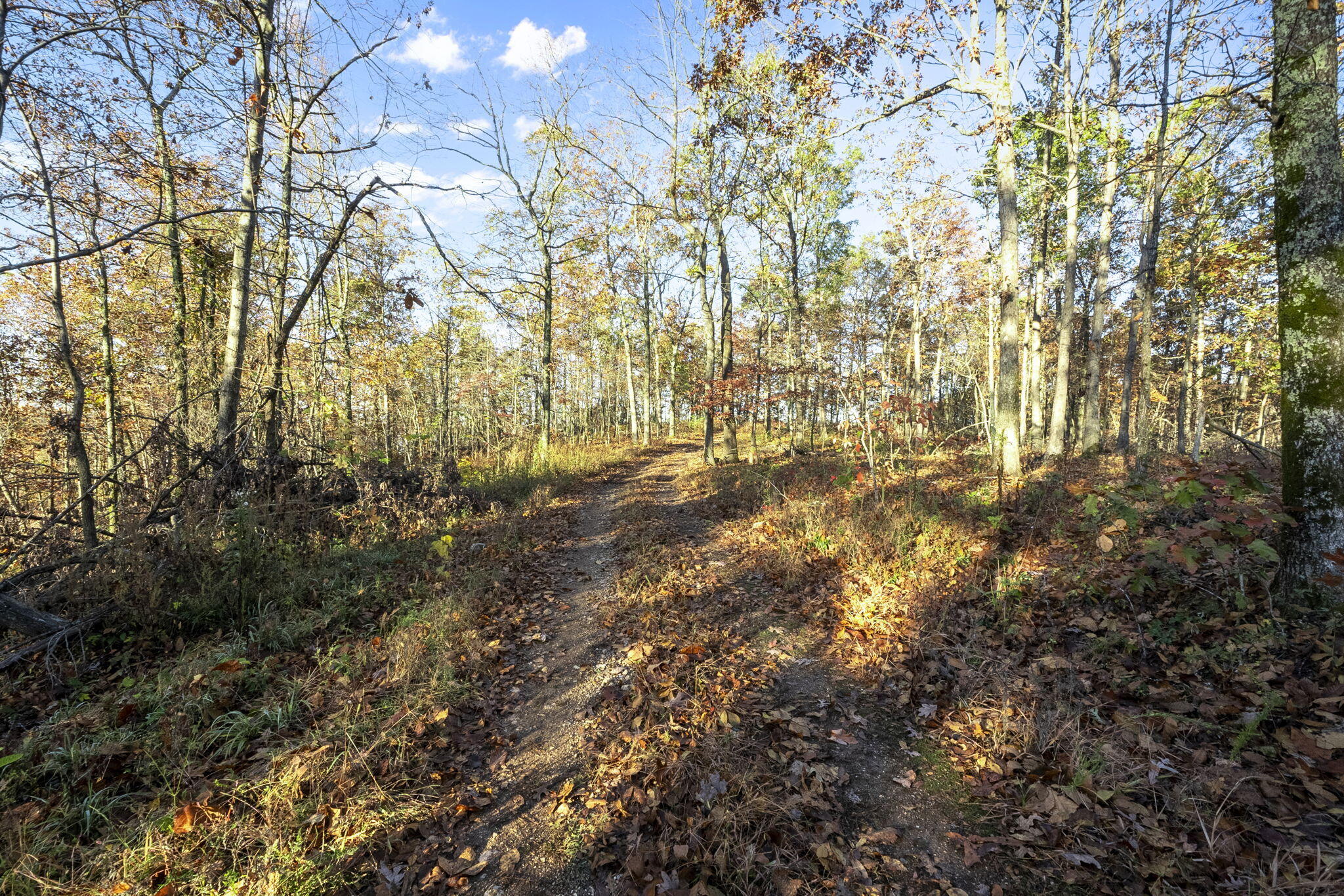 0000 County Road 336 Property Photo 36