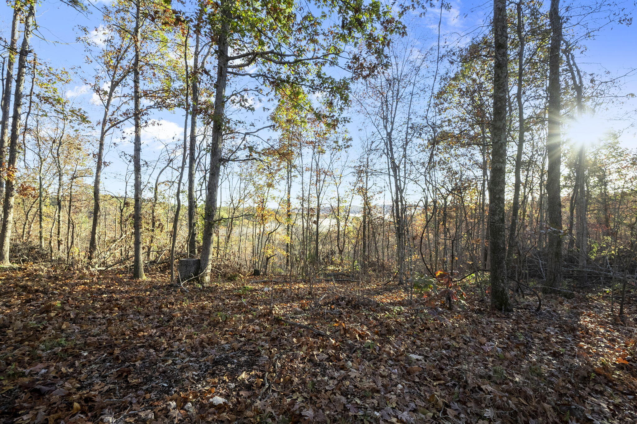 0000 County Road 336 Property Photo 37