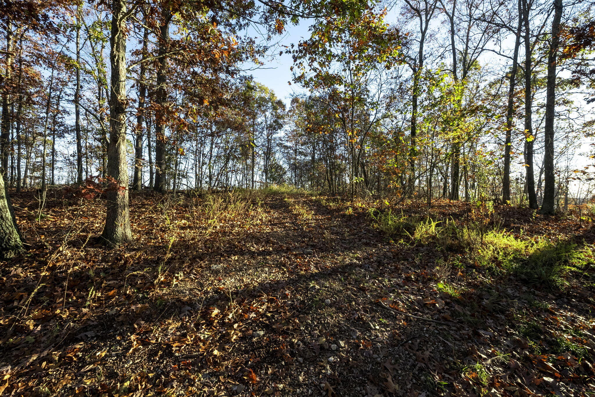 0000 County Road 336 Property Photo 40