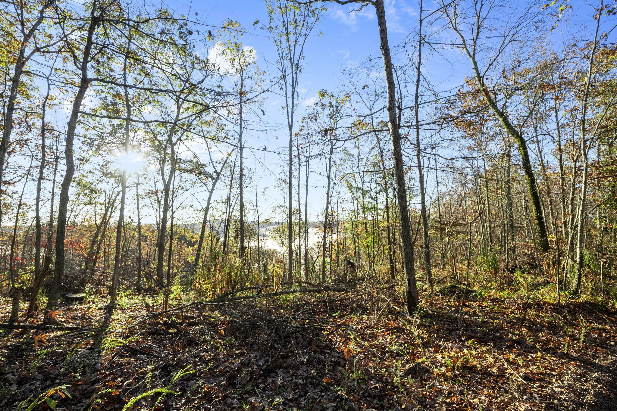 0000 County Road 336 Property Photo 42