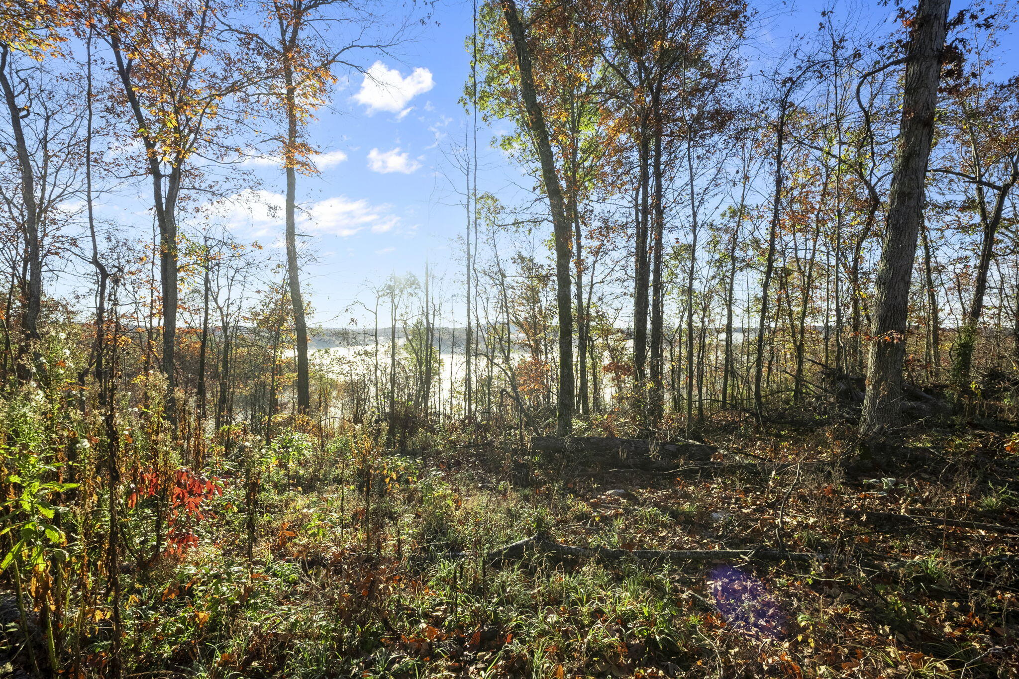 0000 County Road 336 Property Photo 43