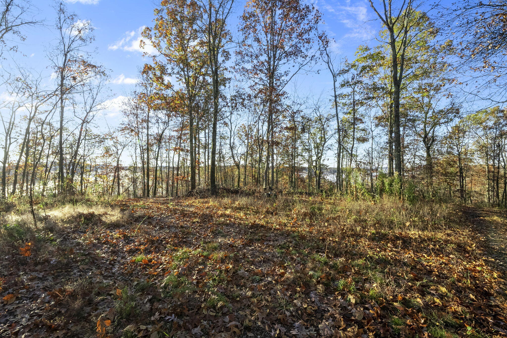 0000 County Road 336 Property Photo 45