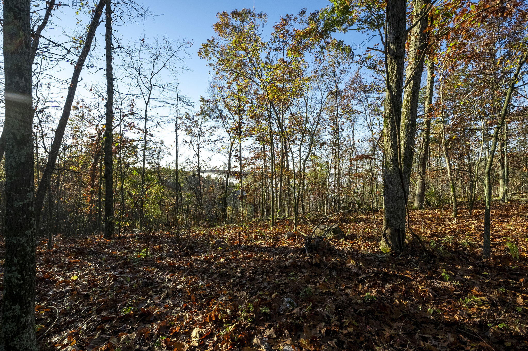 0000 County Road 336 Property Photo 47