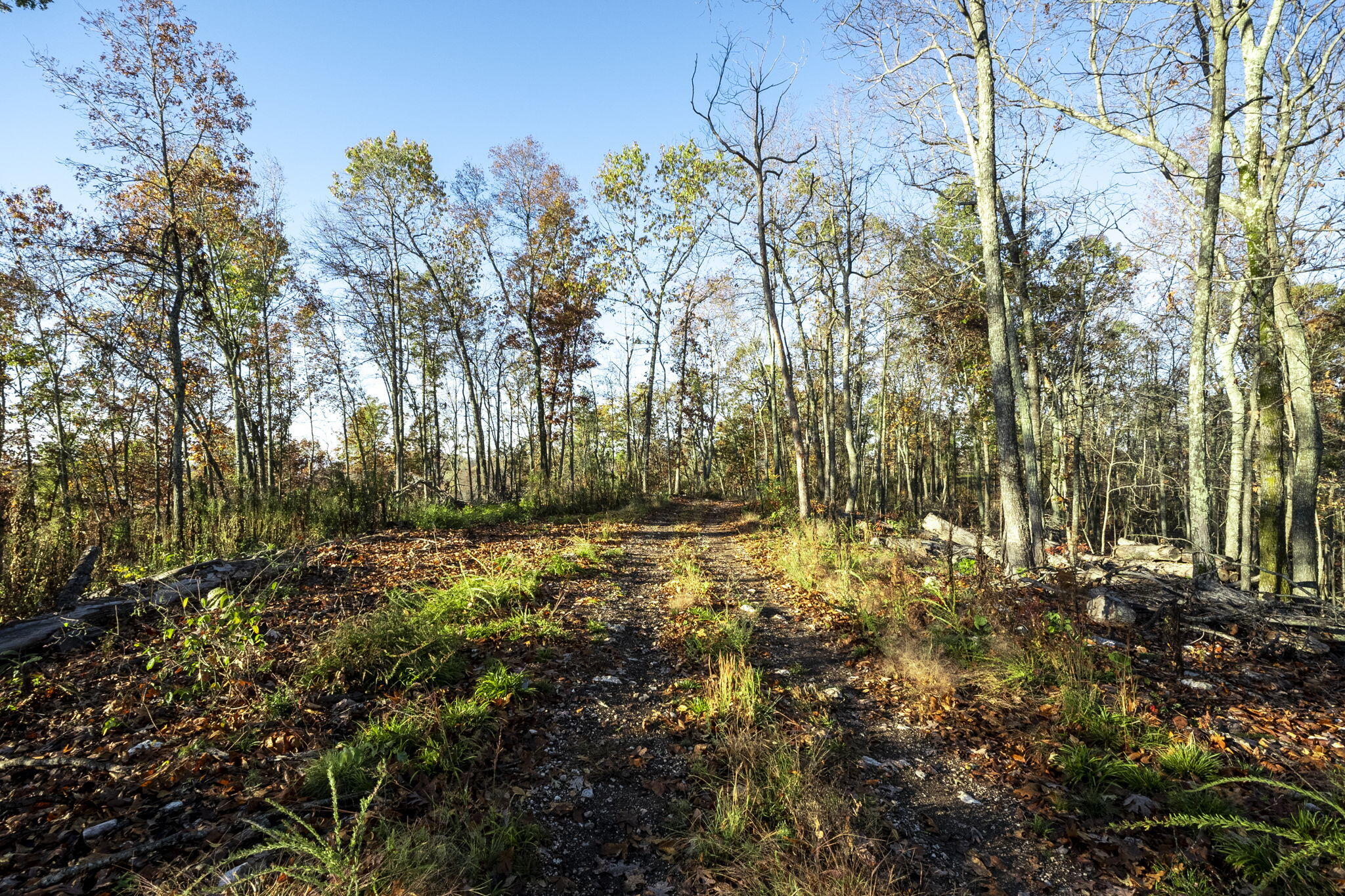 0000 County Road 336 Property Photo 49
