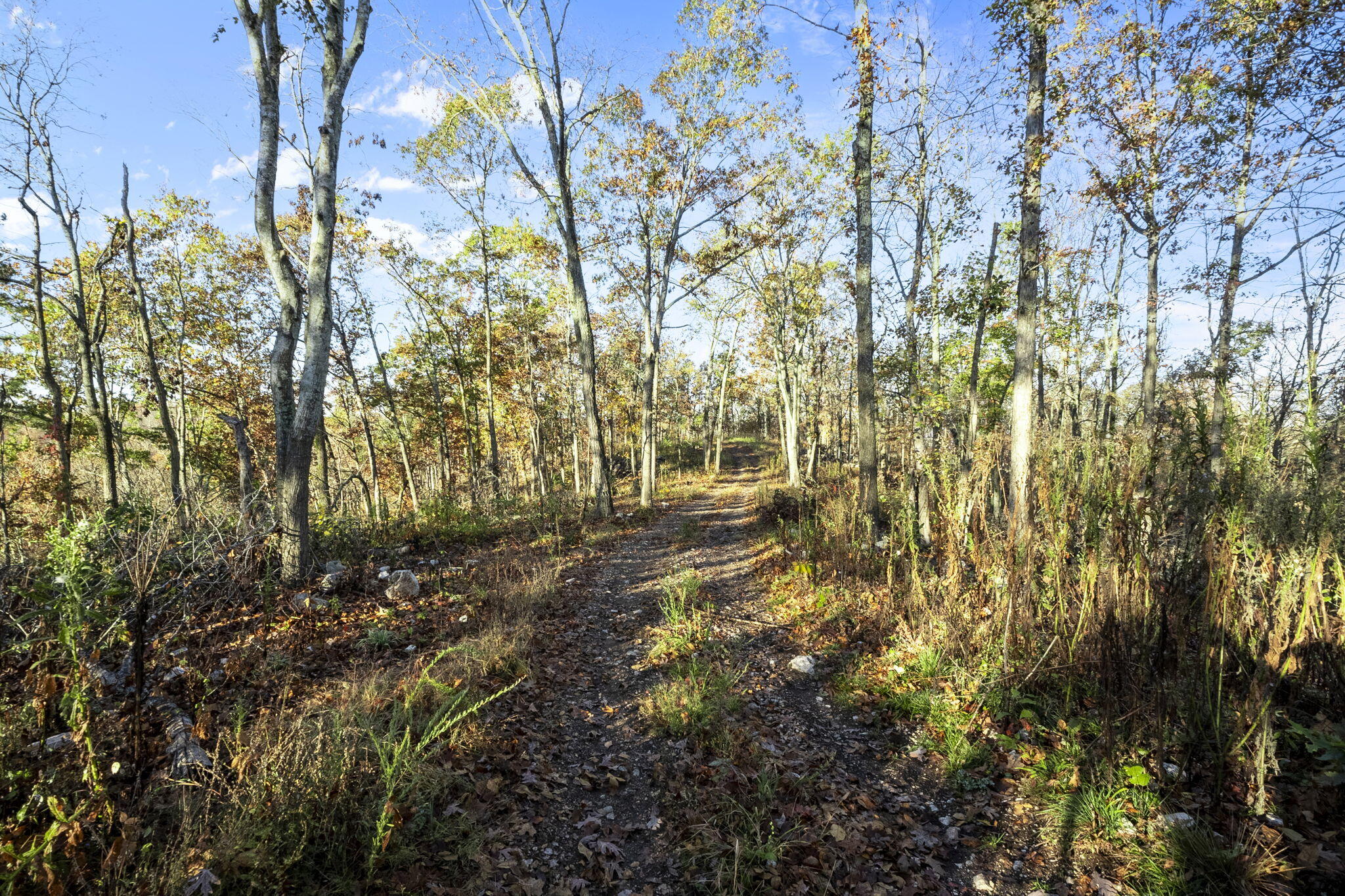 0000 County Road 336 Property Photo 50