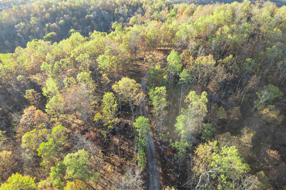 0000 County Road 336 Property Photo 5