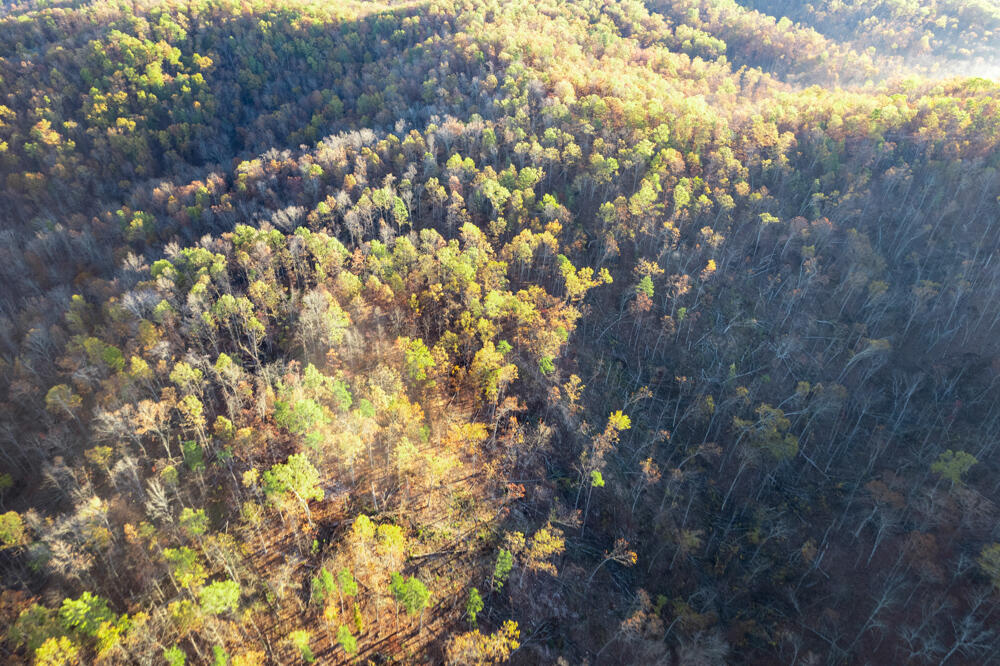 0000 County Road 336 Property Photo 10