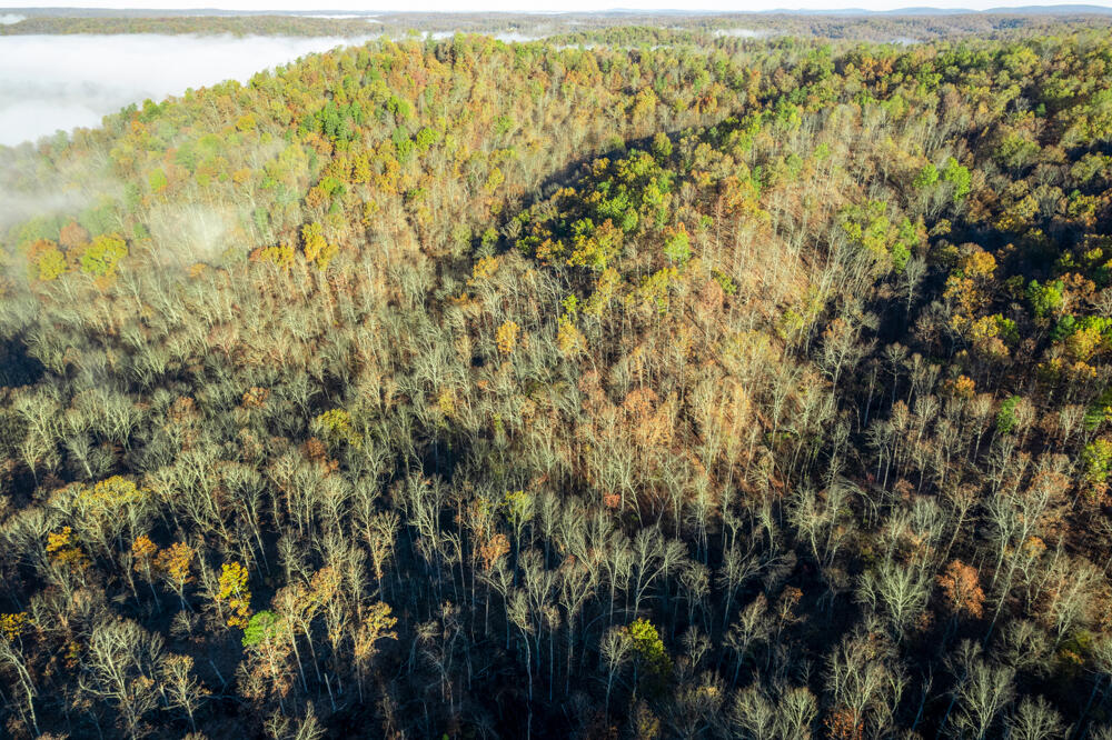 0000 County Road 336 Property Photo 15
