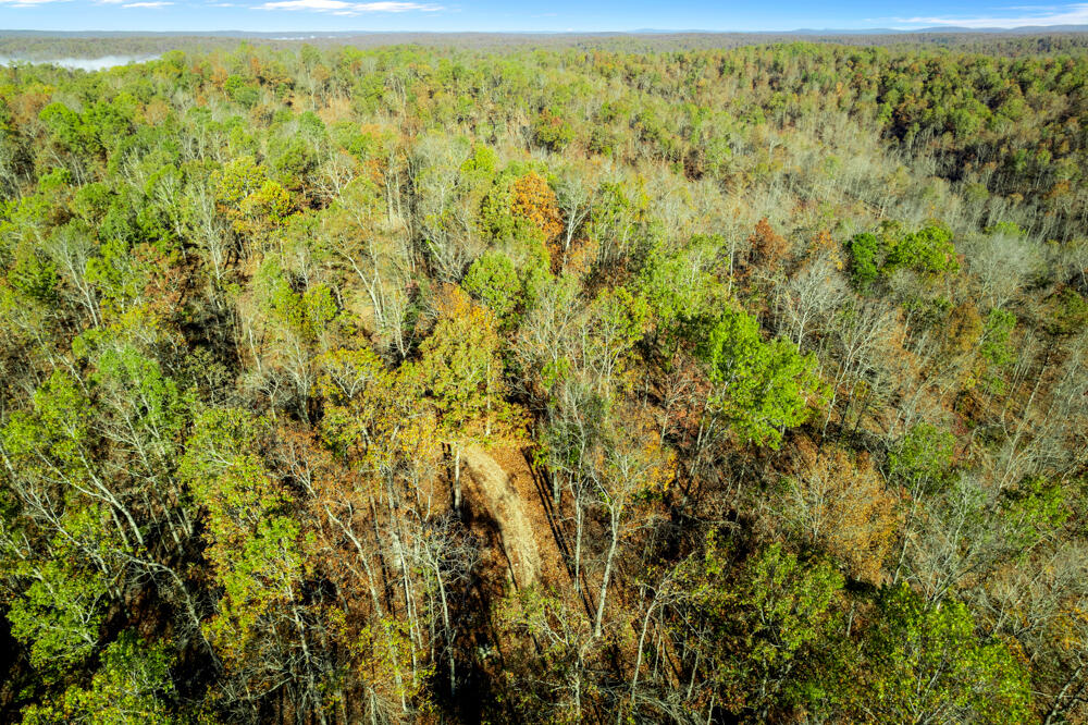 0000 County Road 336 Property Photo 23