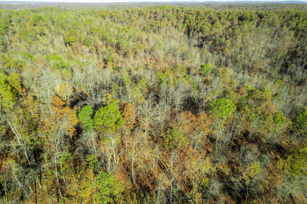 0000 County Road 336 Property Photo 24