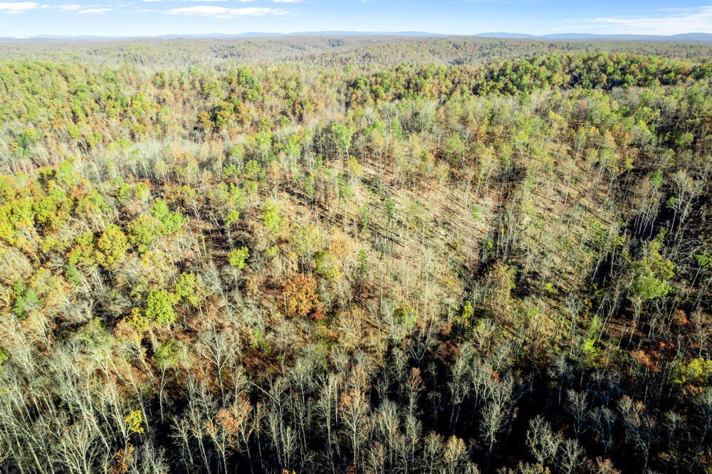 0000 County Road 336 Property Photo 27