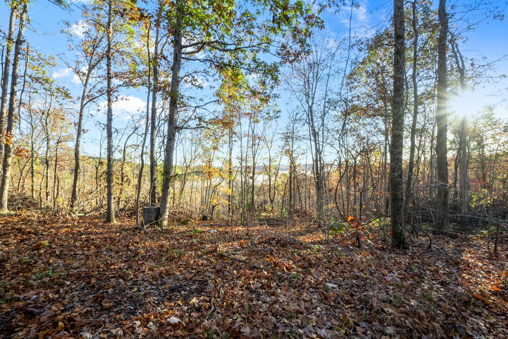 0000 County Road 336 Property Photo 35