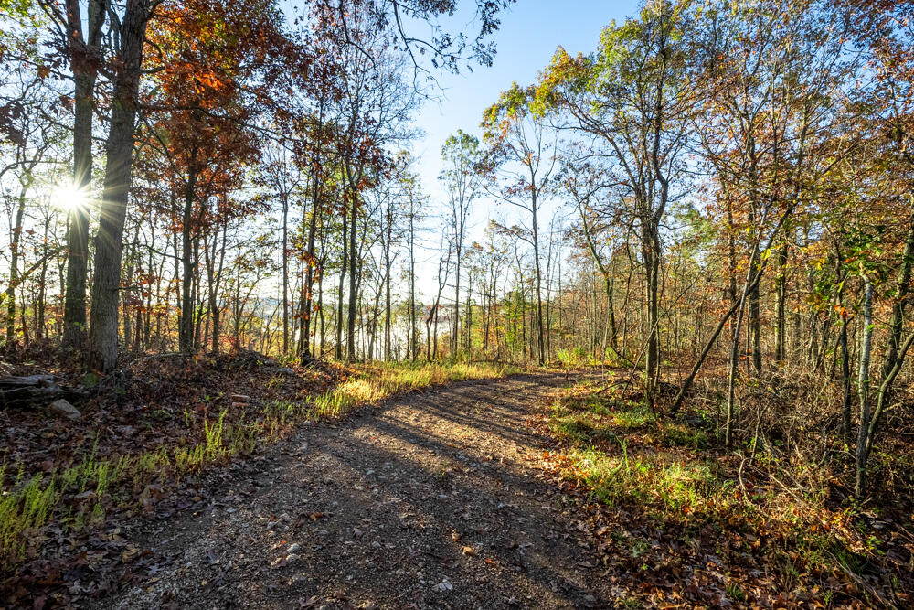 0000 County Road 336 Property Photo 38
