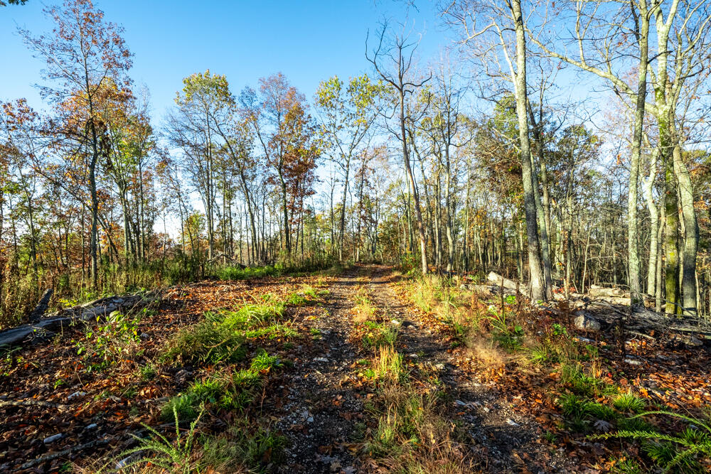 0000 County Road 336 Property Photo 43