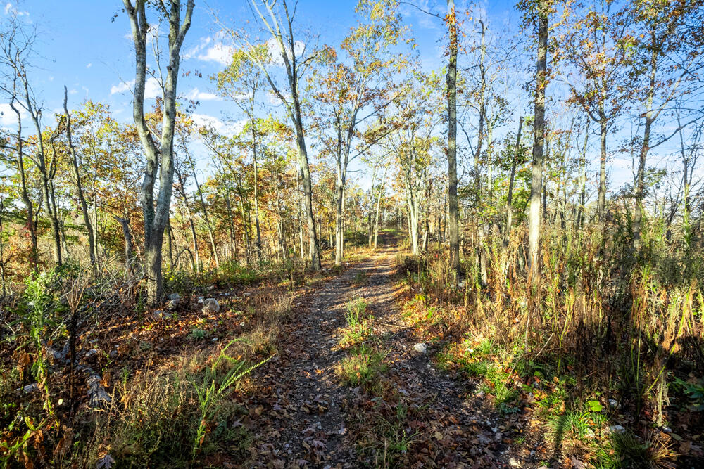 0000 County Road 336 Property Photo 44
