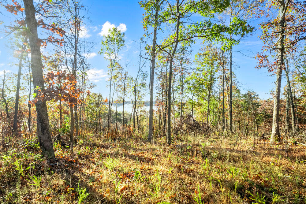 0000 County Road 336 Property Photo 45
