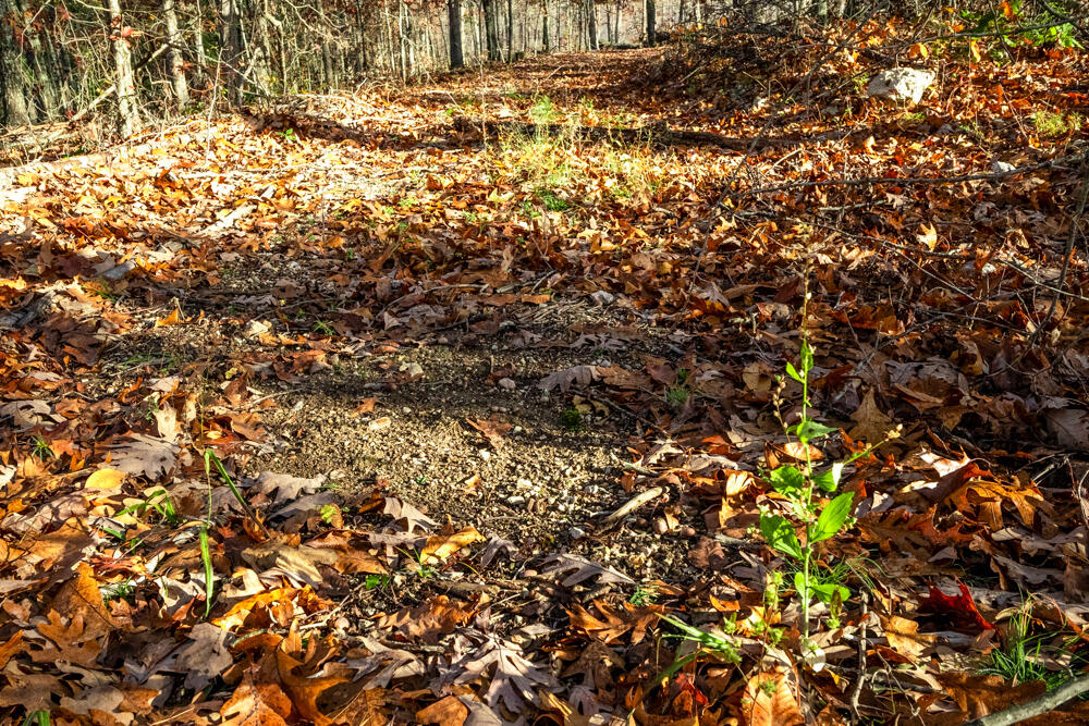 0000 County Road 336 Property Photo 47